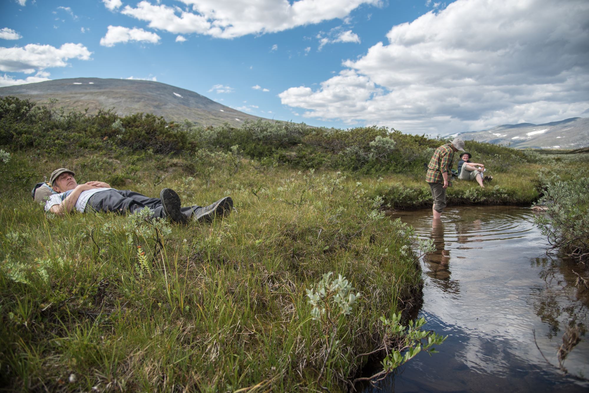 Bird watching with guide