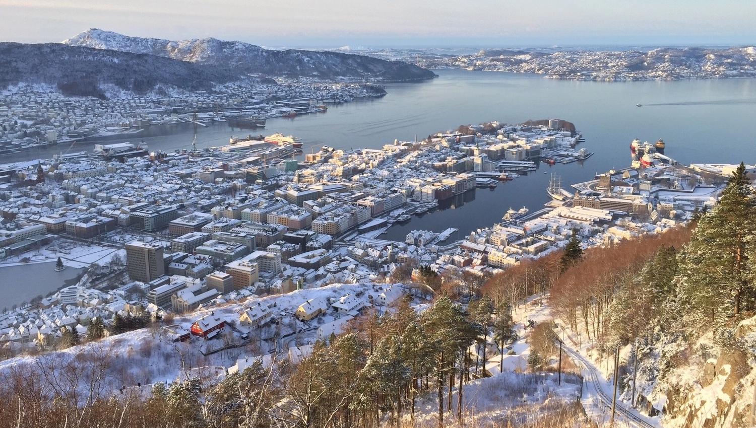 Fløyen vinter 2014 Gjertrud Coutinho