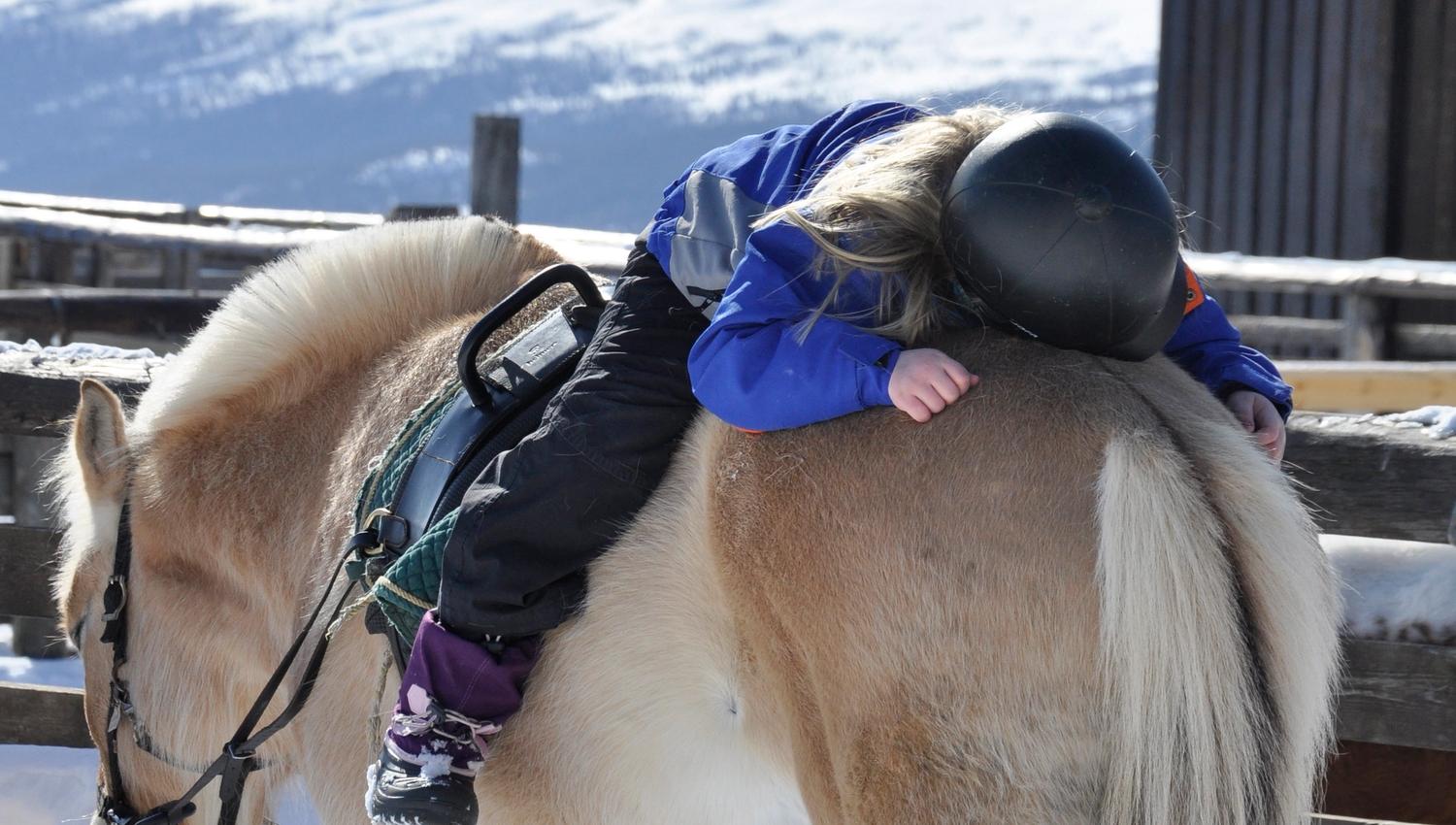 Hest