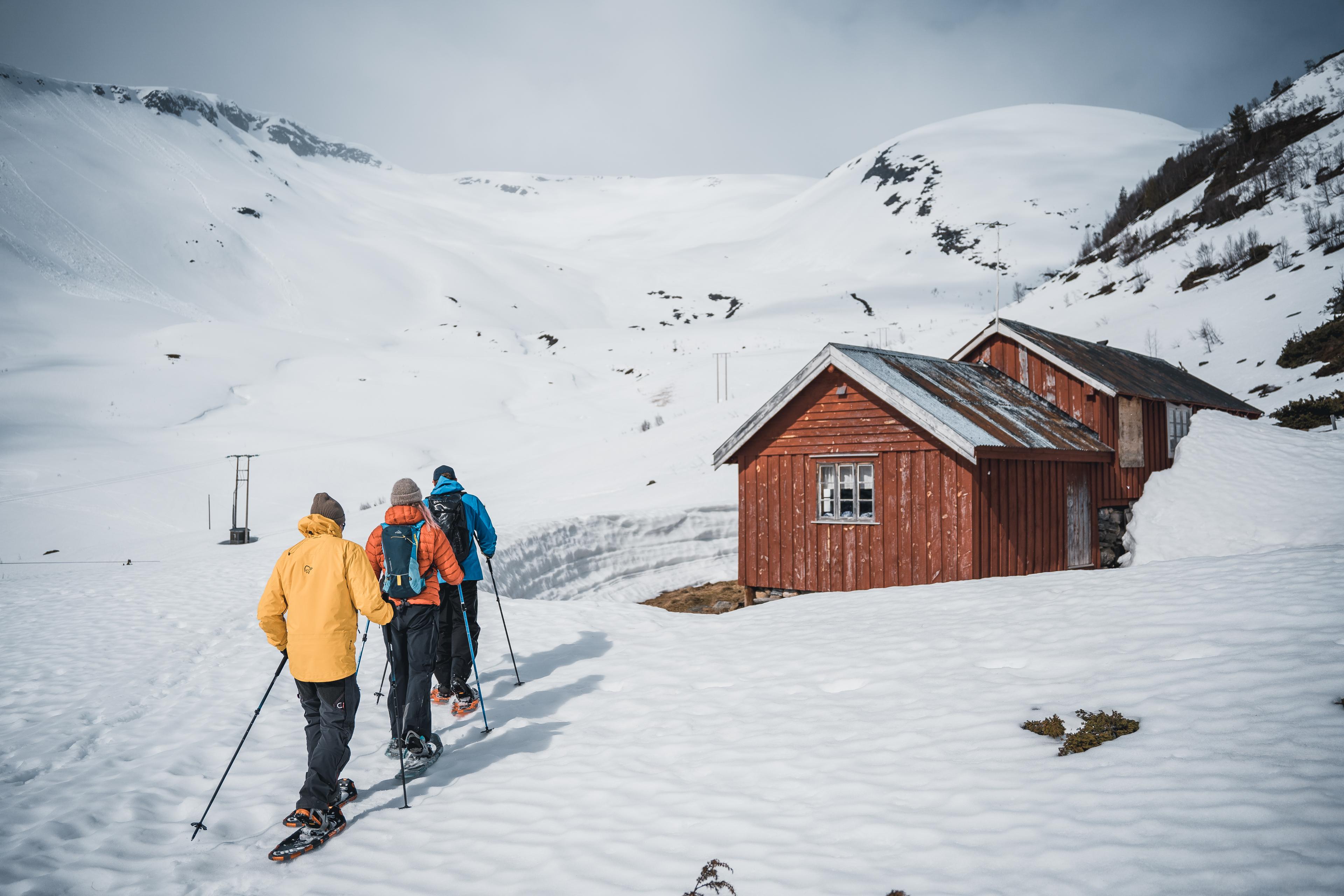 Trugetur i Sunnmørsalpane