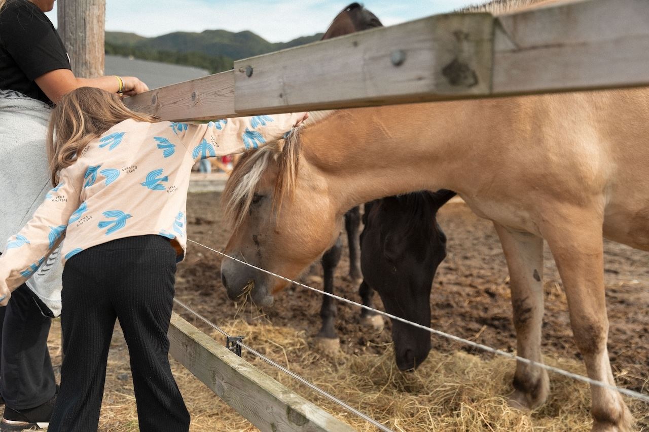 Eit barn lener seg over eit tre-gjerde og klappar ein lys brun hest i ein innhegning med høy..