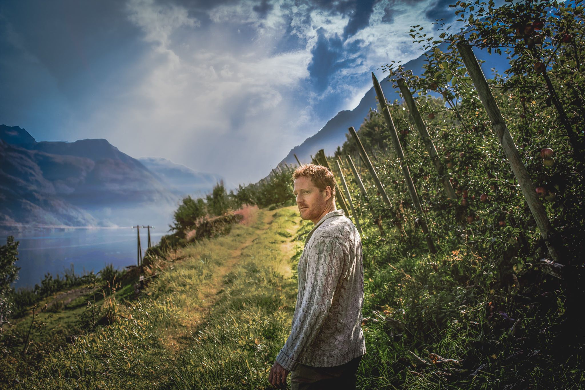 Mann som spaserer gjennom frukthagane i Hardangerfjorden med fjorden i bakgrunnen.
