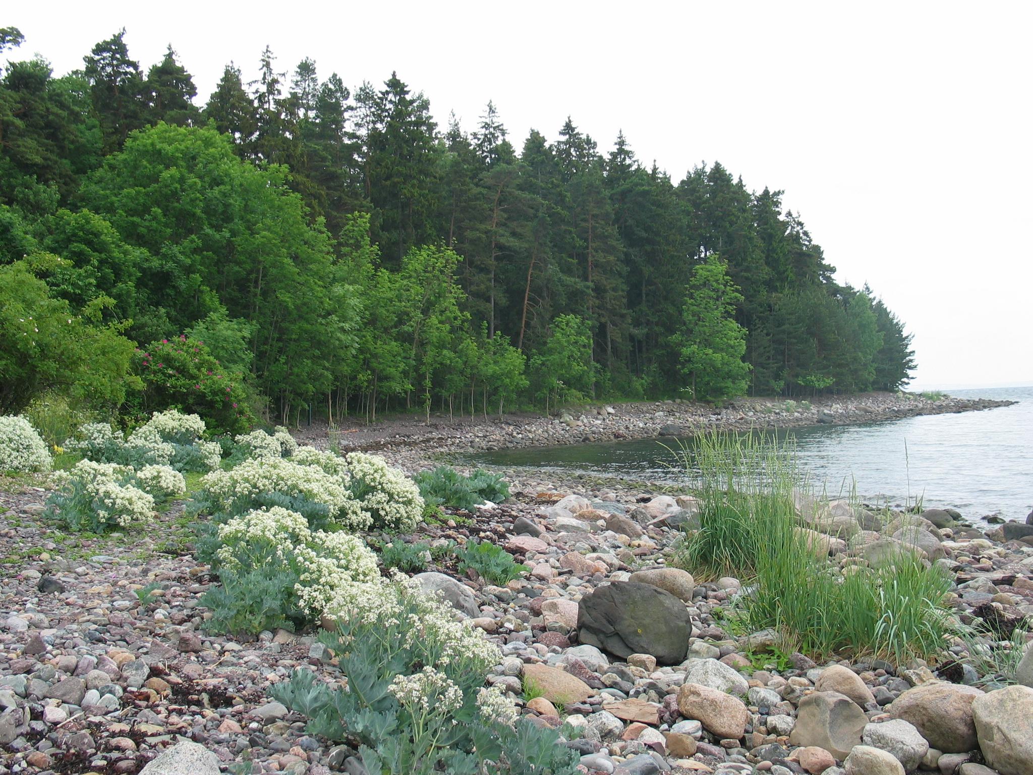 Strand Søndre Jeløy