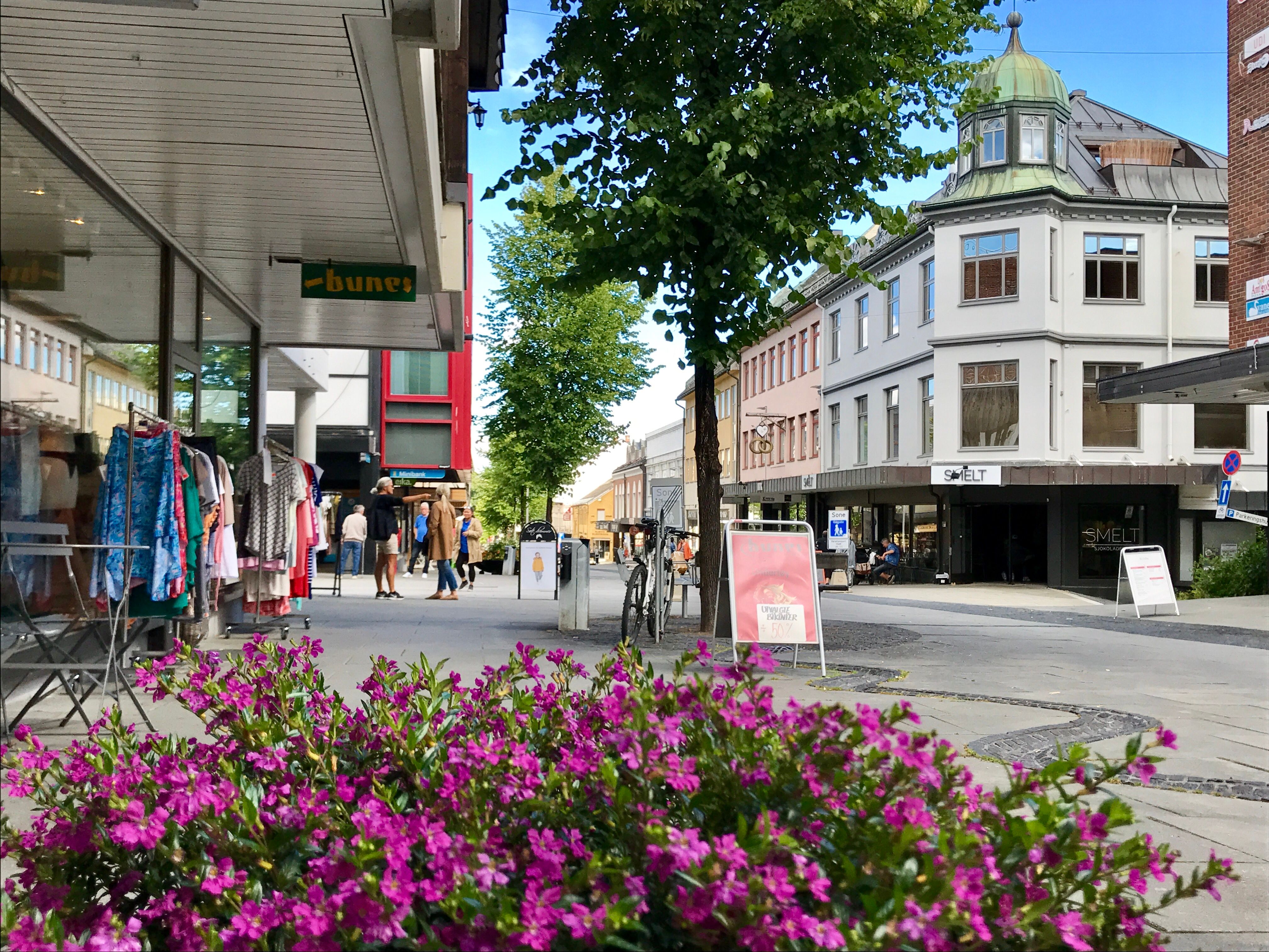 Gjøvik sentrum  2017