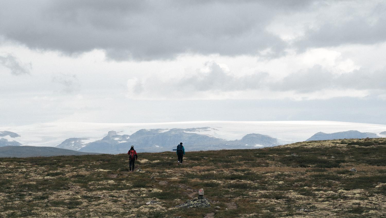 Hardangervidda x Yrjan Olsnes 2021-08837