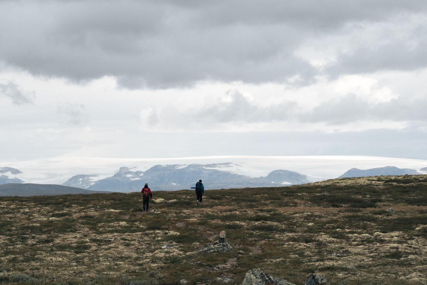 Hardangervidda x Yrjan Olsnes 2021-08837