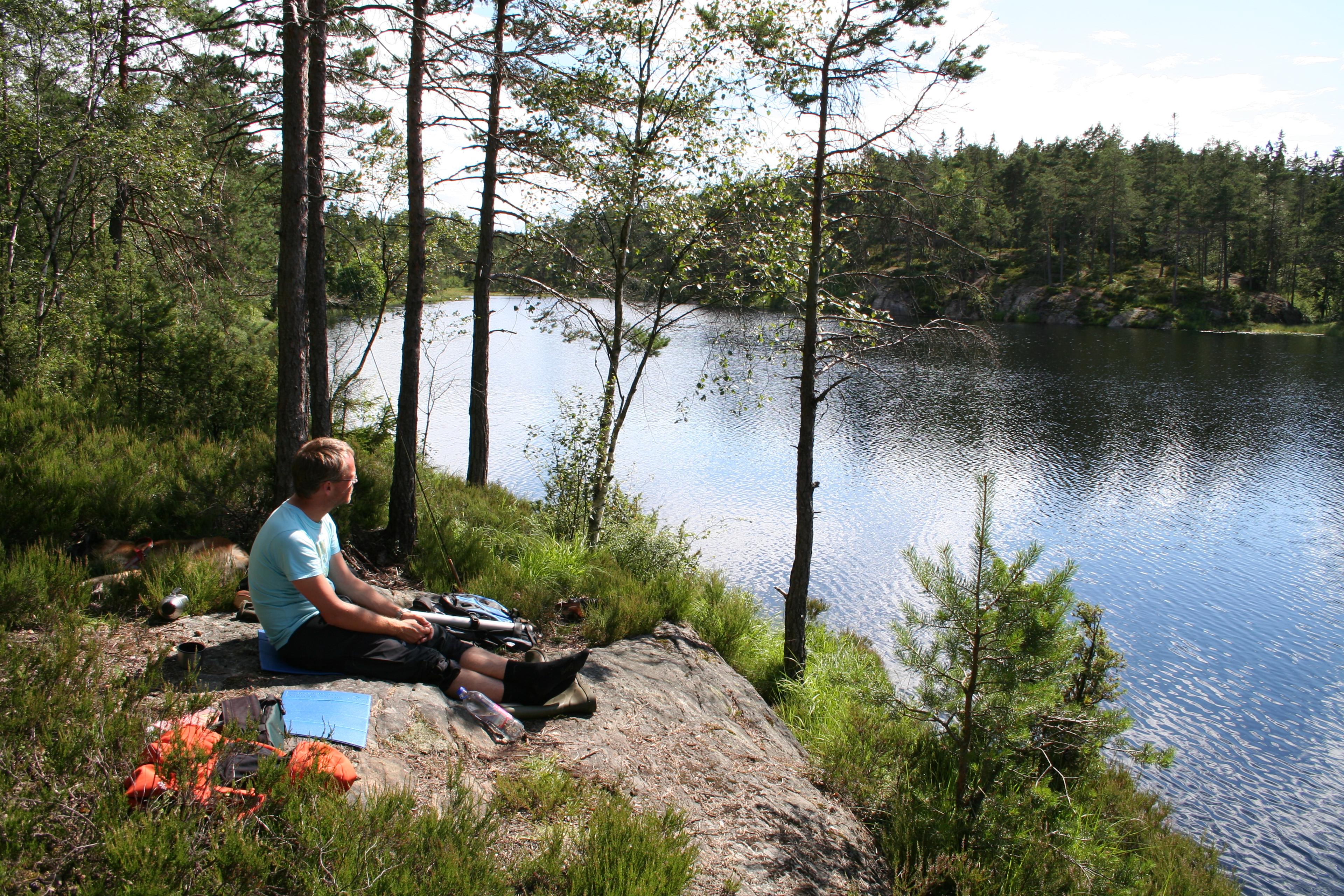 Mann raster ved Litjern