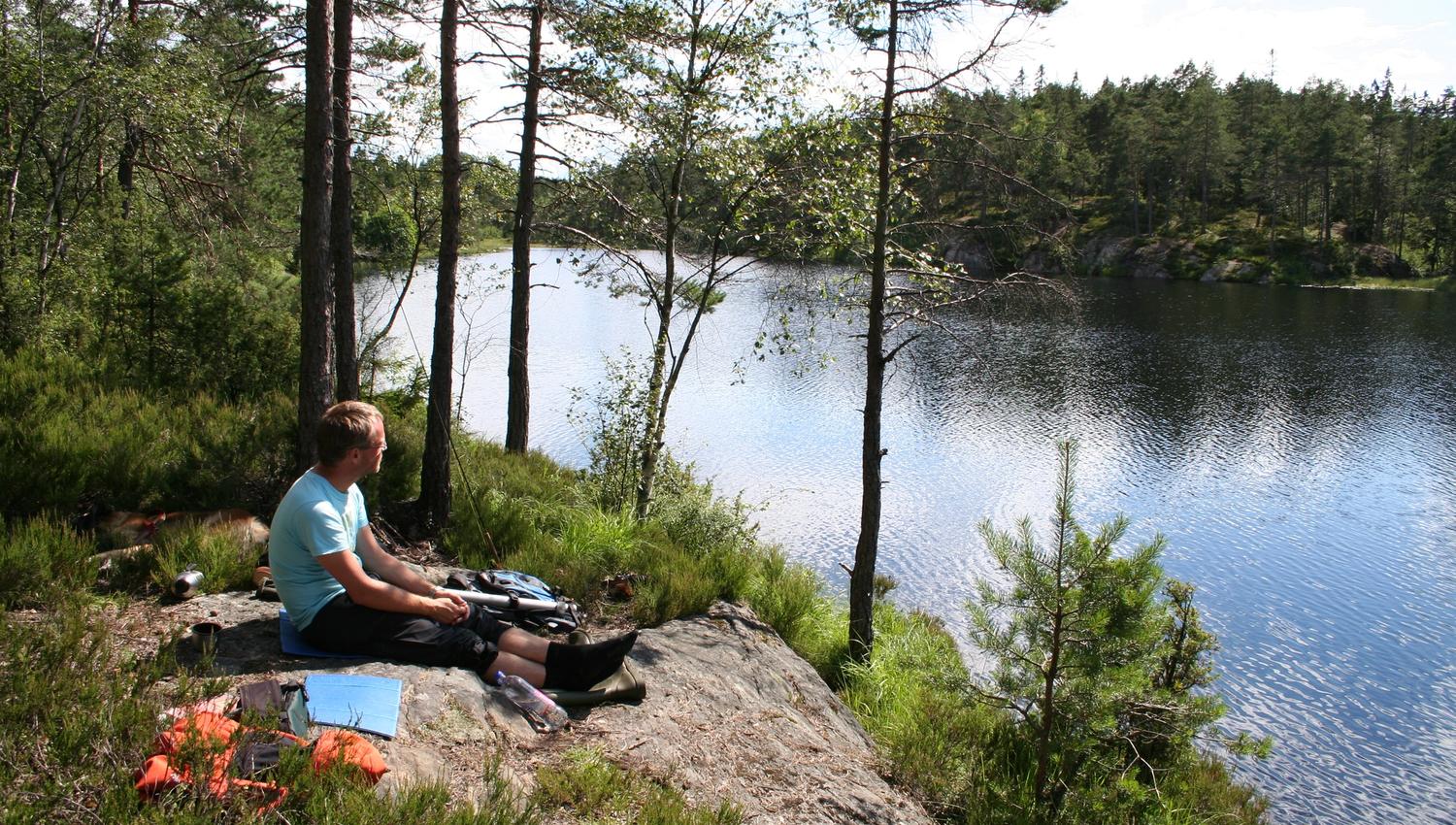 Mann raster ved Litjern