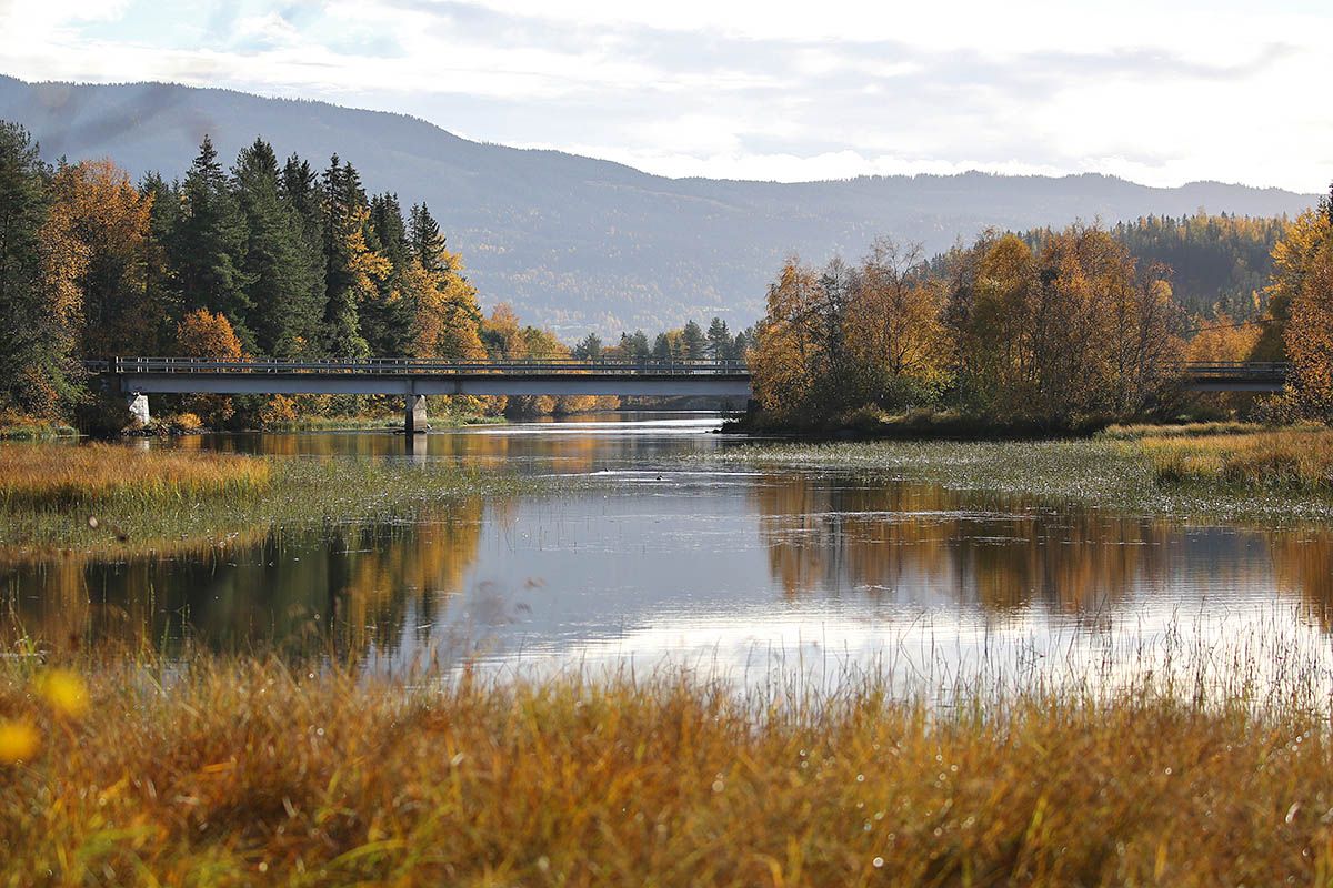 web_LOmendelta_Y92A8174