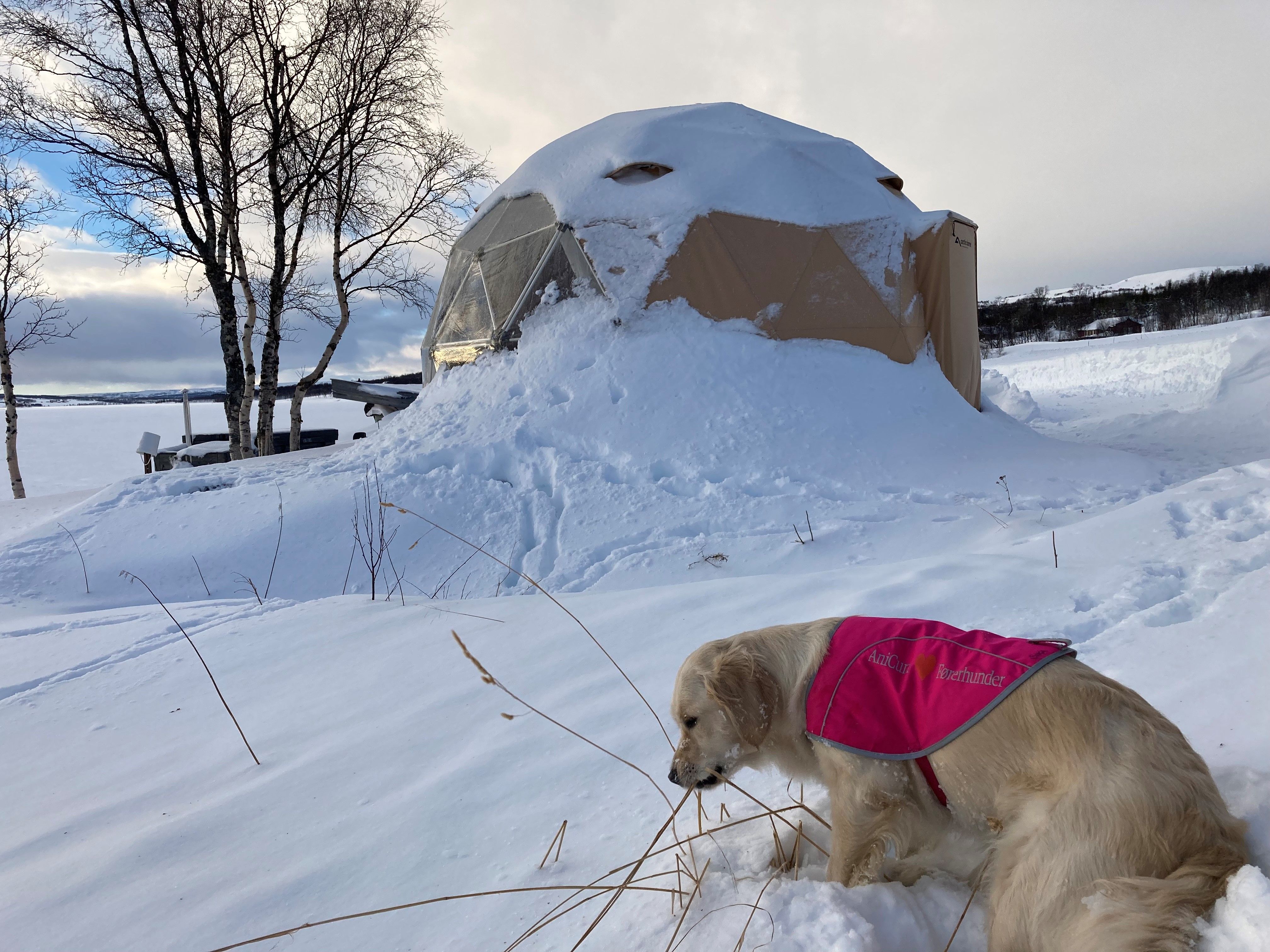 Arctic dome morgengry