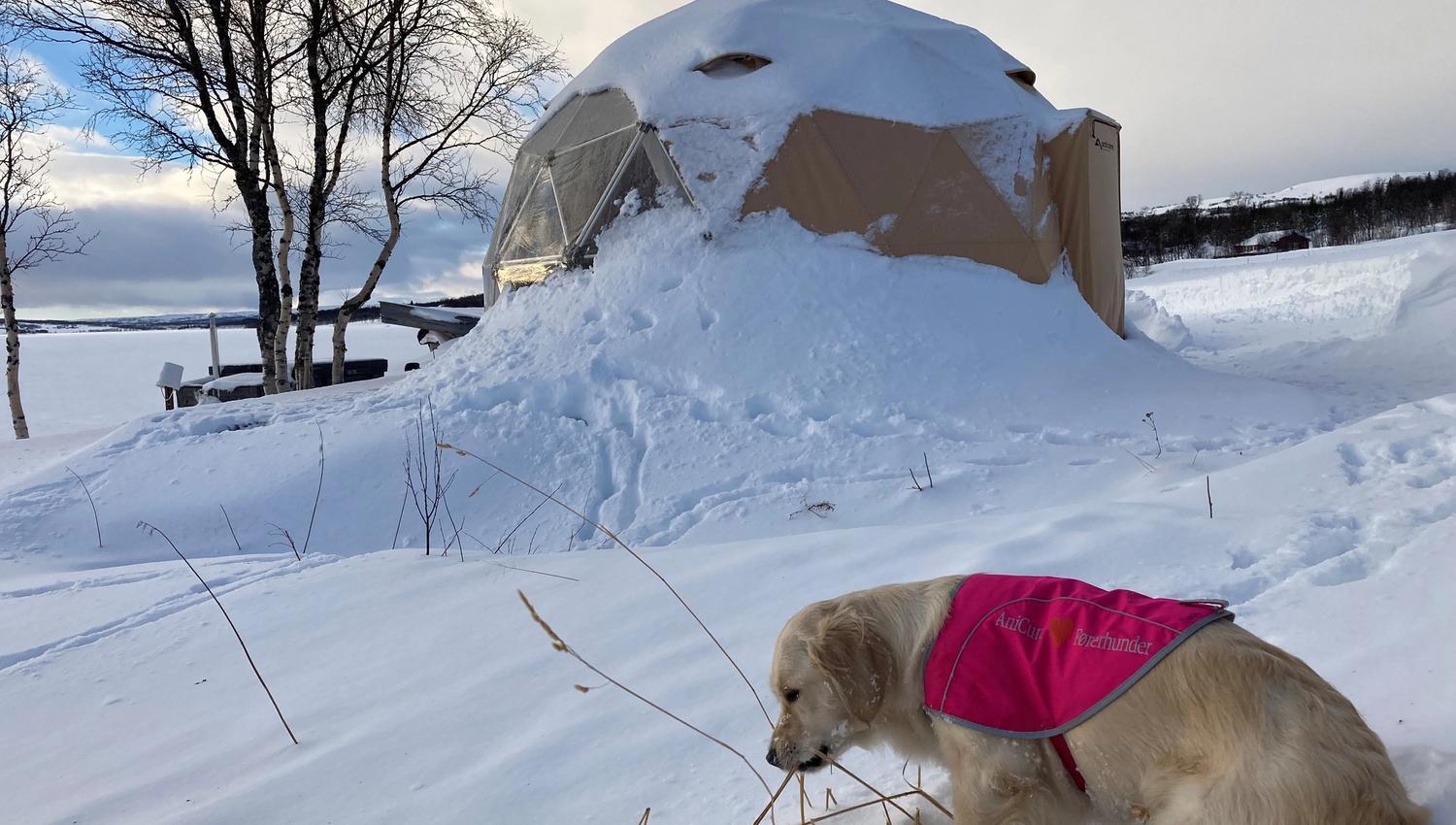 Arctic dome morgengry