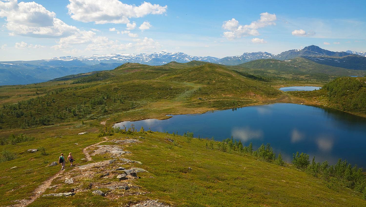 Utsikt fra Melbysfjellet mot Knausehøgdene og Bitihorn i bakgrunnen.