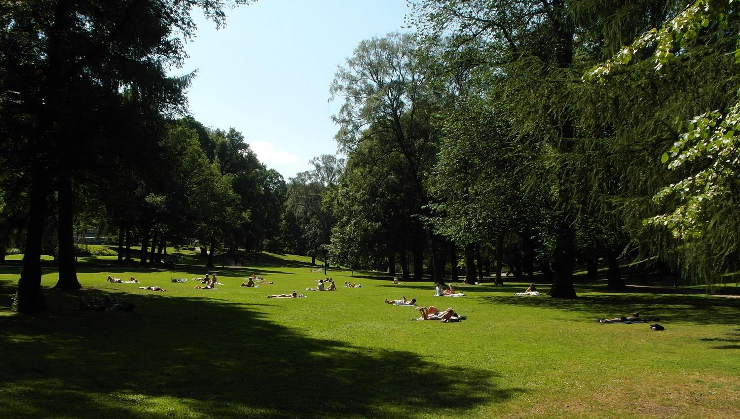 mennesker som sitter på plenen