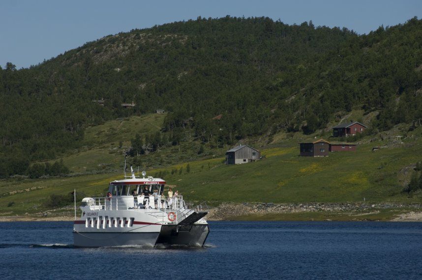 Fjellvåken med gard i bakgrunnen