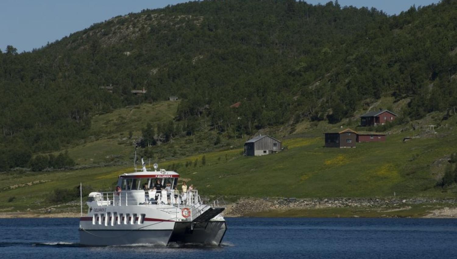 Fjellvåken med gard i bakgrunnen