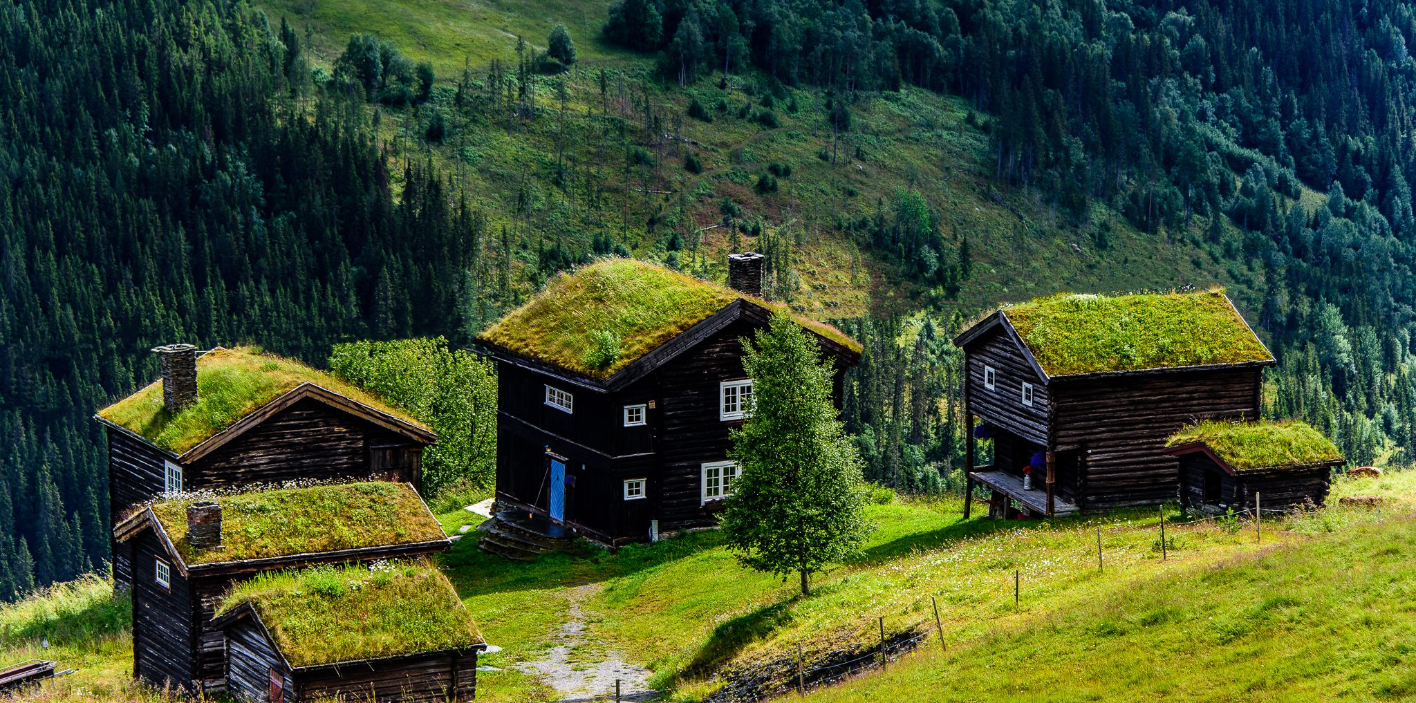Peer Gynt vegen - hus