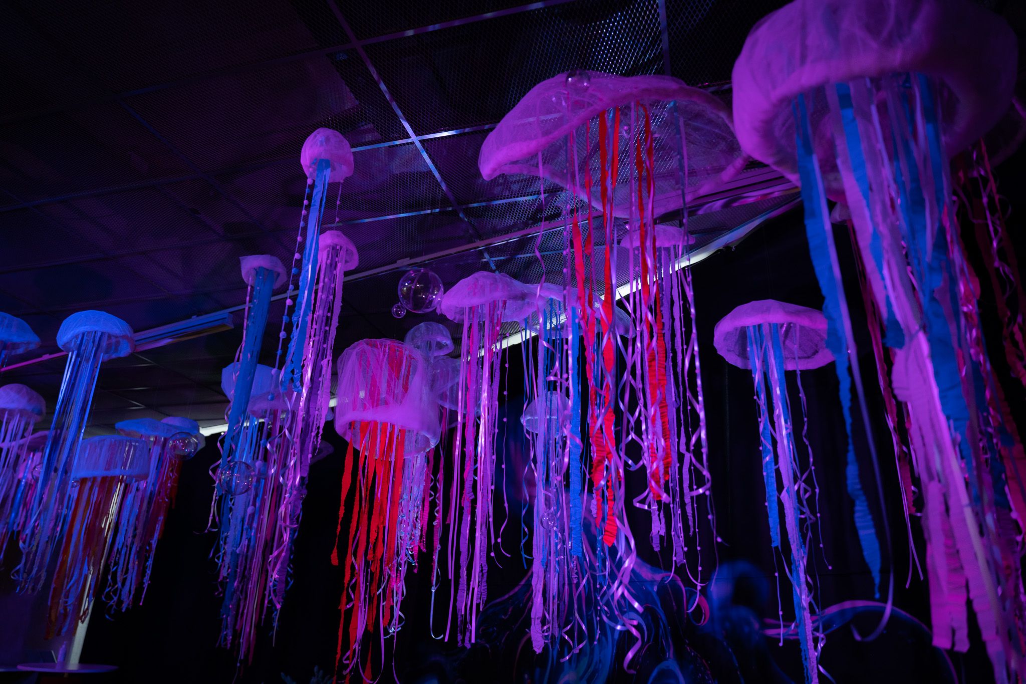 Jellyfish hanging from the ceiling in the exhibition Deep Dive. Photo.
