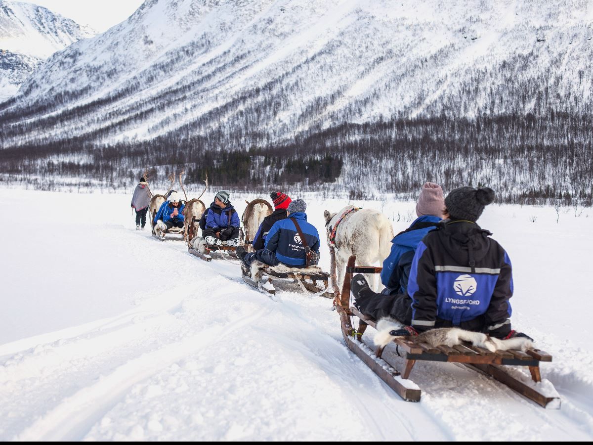 Guests enjoy a sled-ride