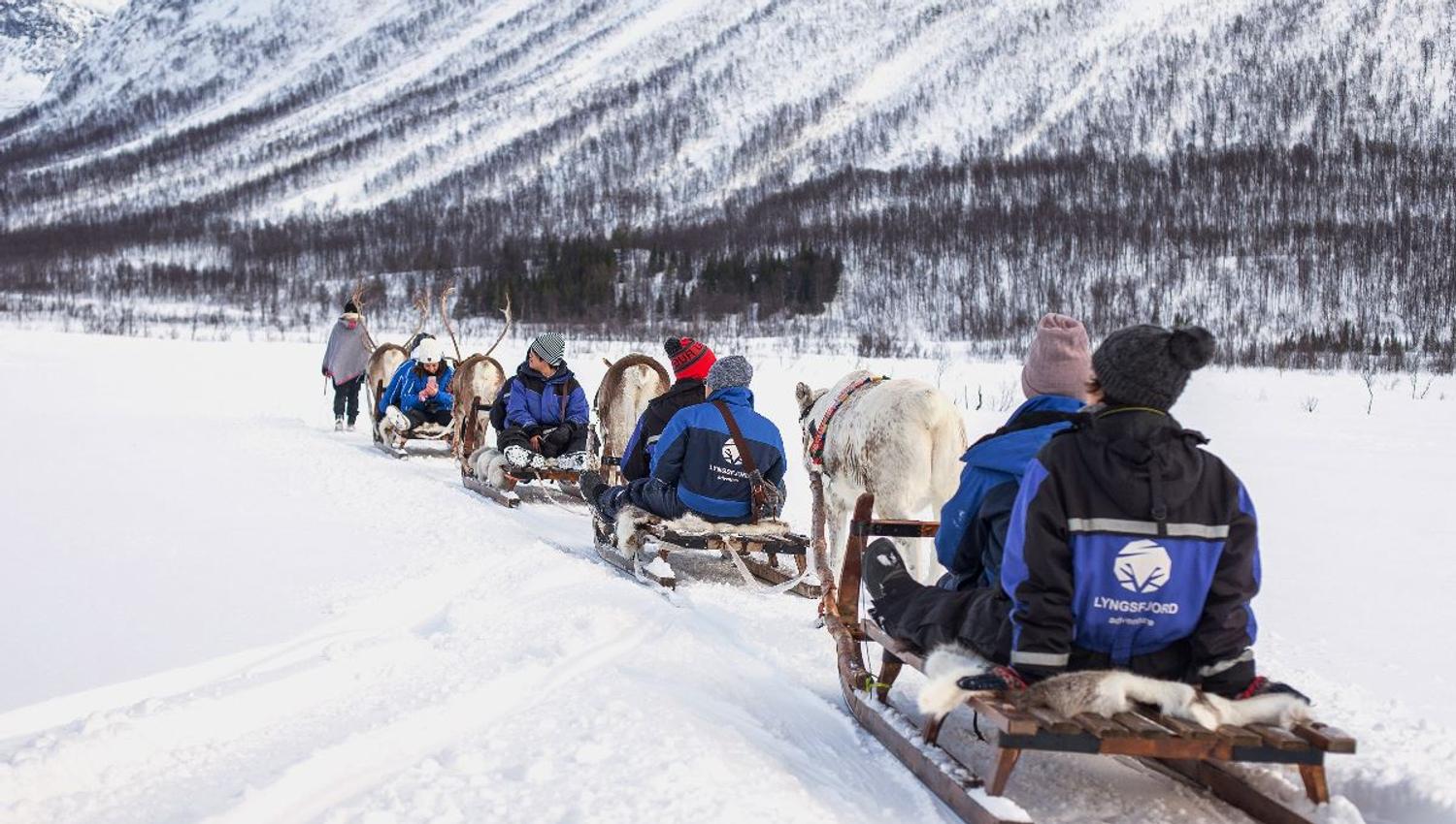 Guests enjoy a sled-ride