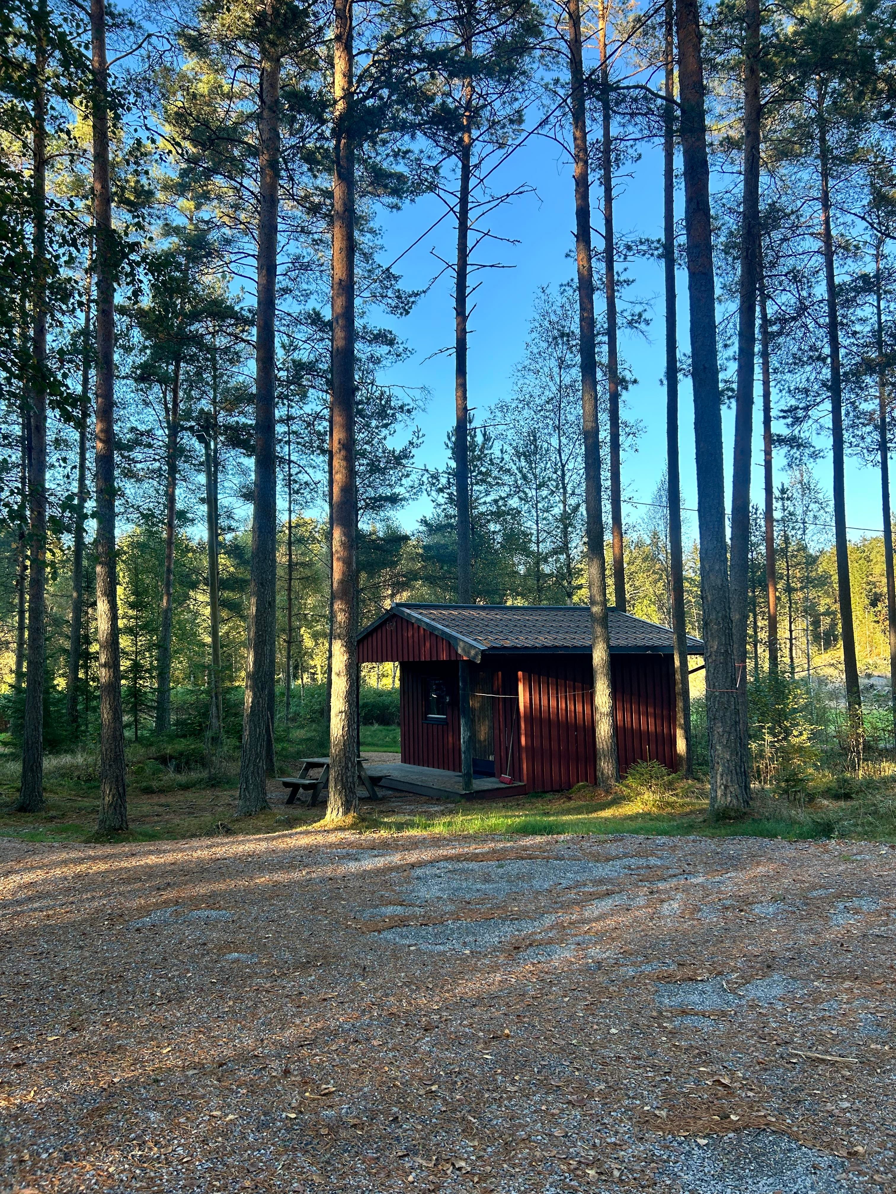 Bilde av hytte utenfra med skog rundt