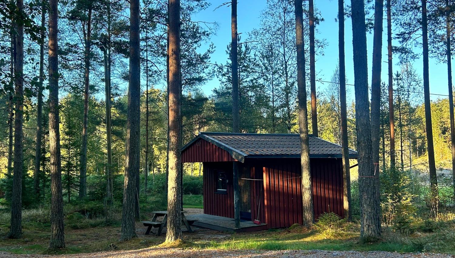 Bilde av hytte utenfra med skog rundt