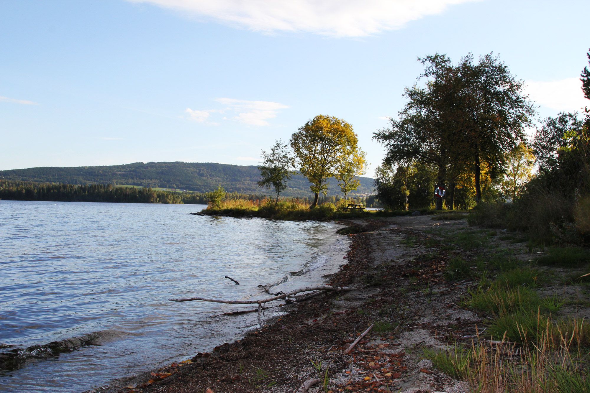 Nice walking by the beach
