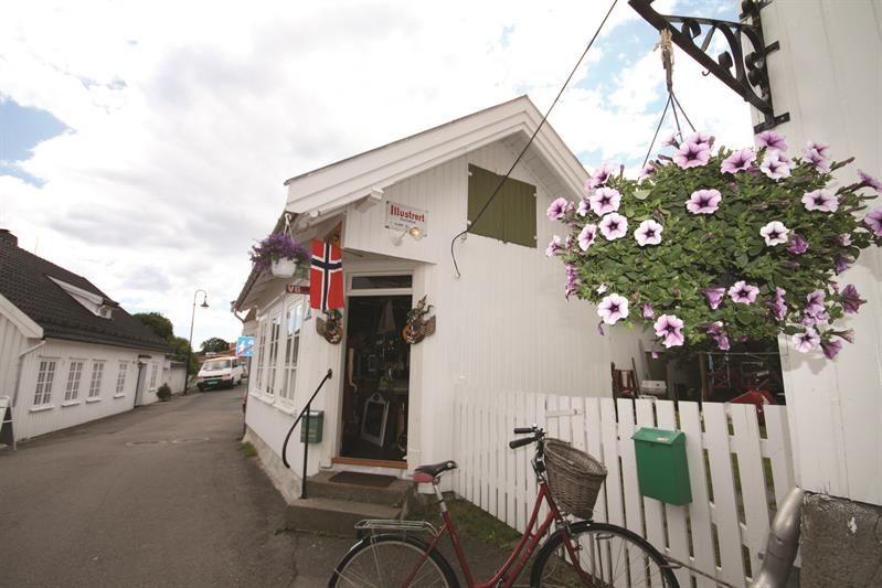 Hvitt hus