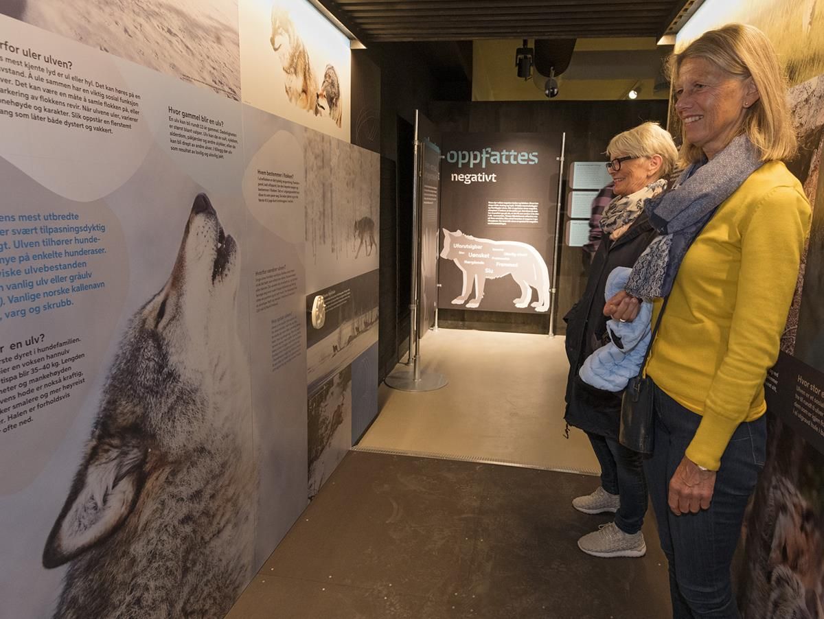 Guidet tur på Norsk Skogmuseum i Elverum