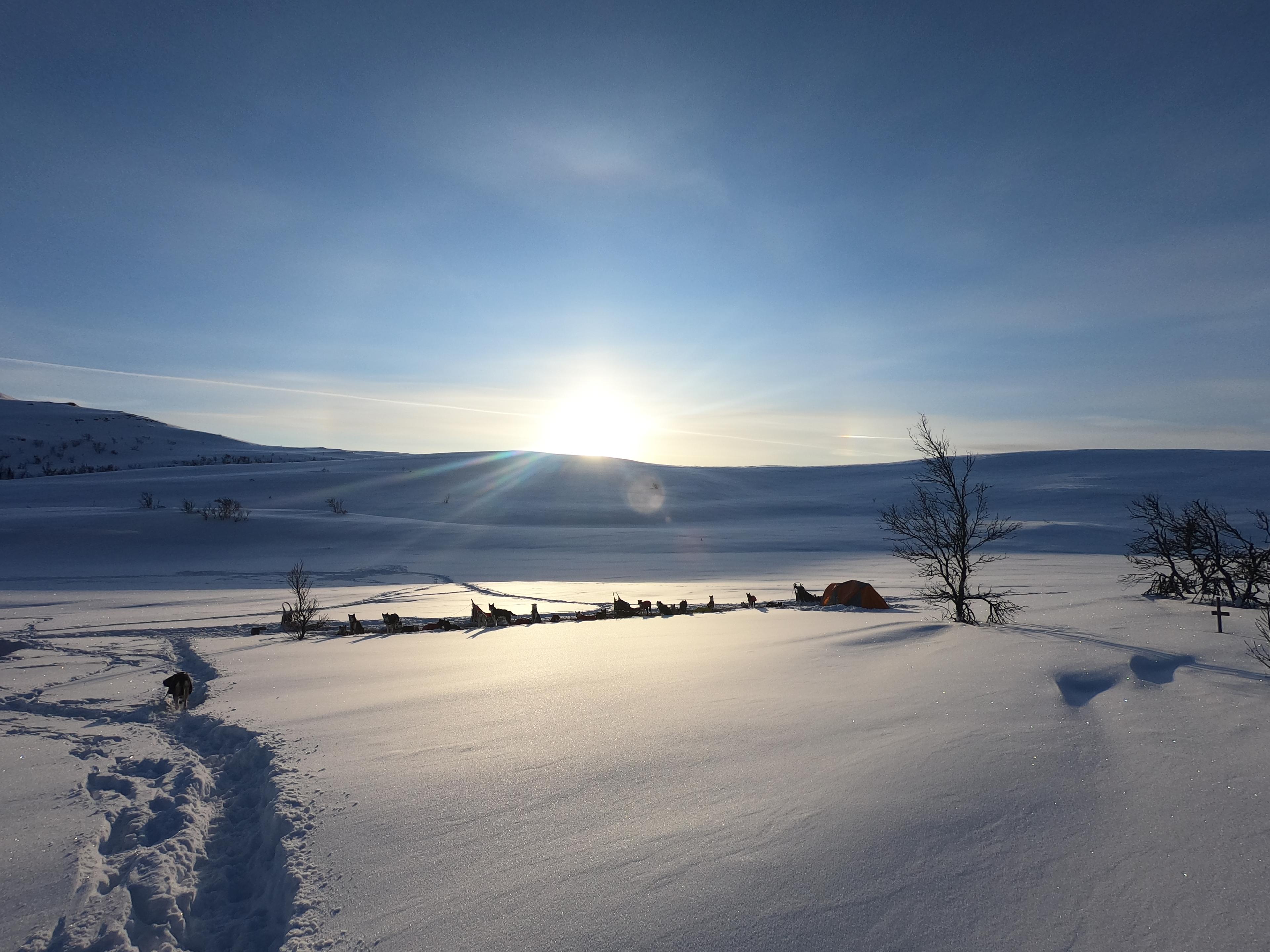 To dagers hundesledetur med hytteopphold