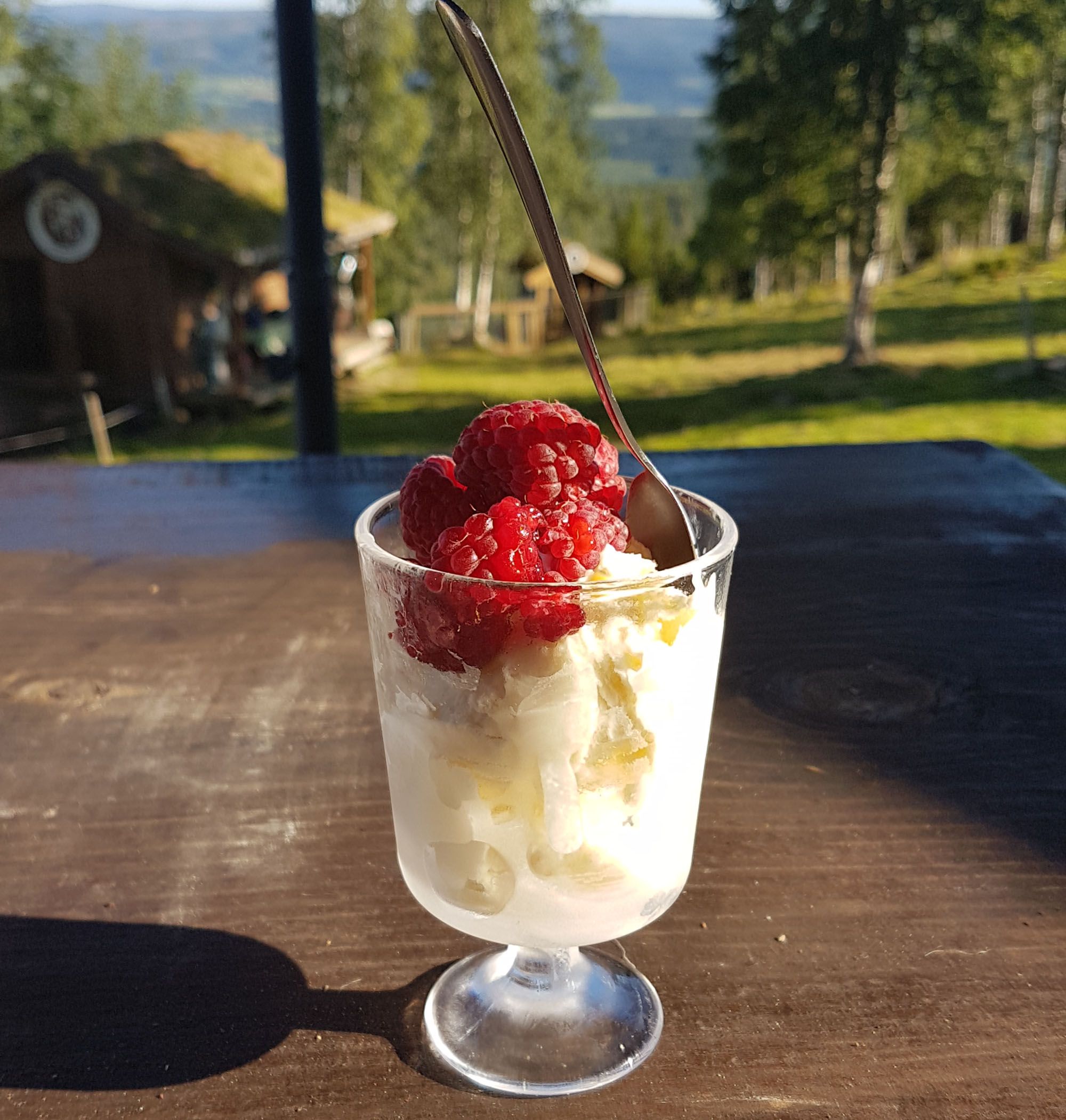 snåsa dravlandseteren seter visit innherred (3) web