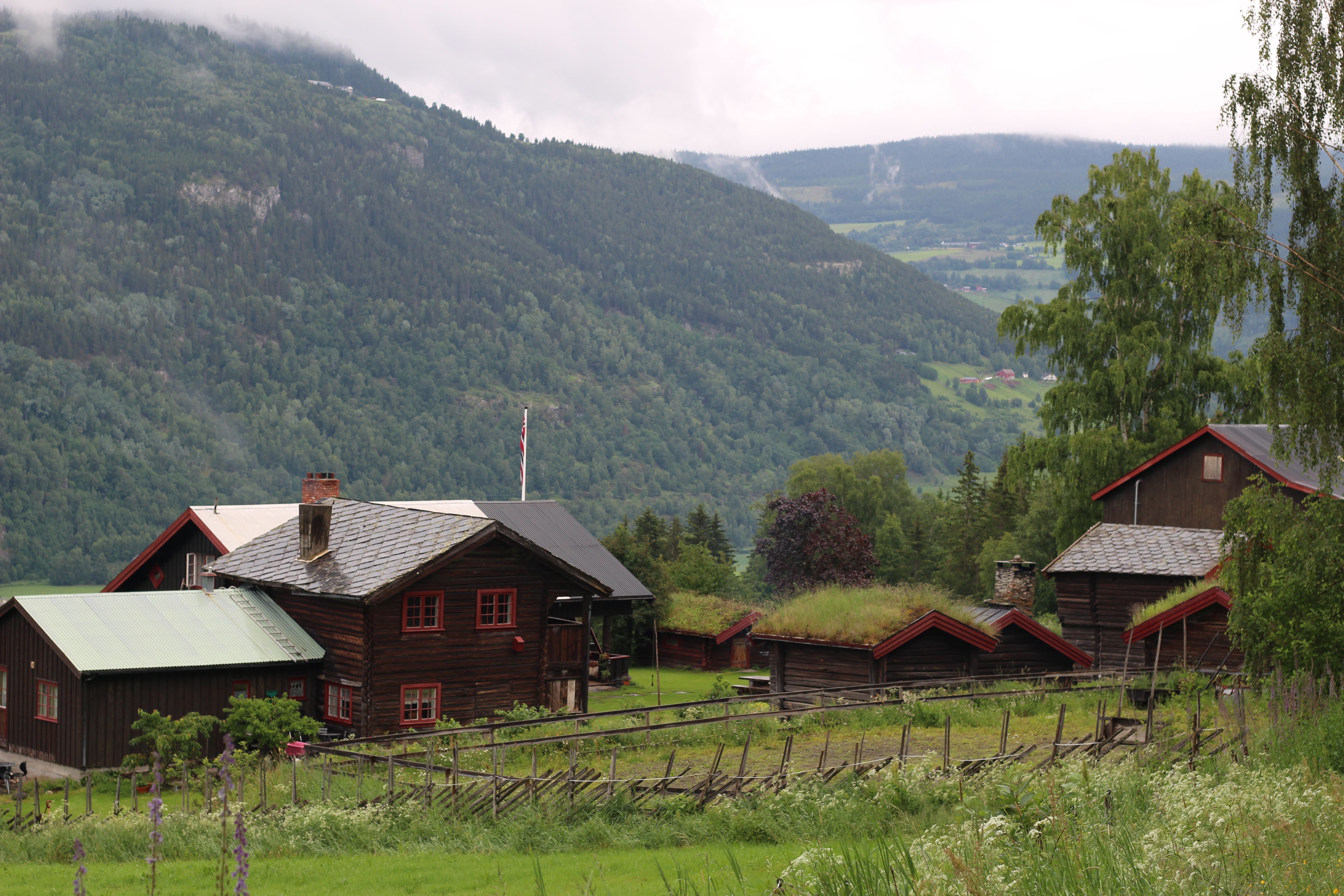 IMG_4340Visit_Lillehammer-Fabian_Raw