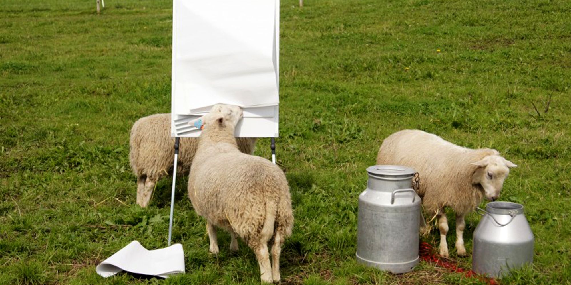 Sauer på kurs hos Husfrua