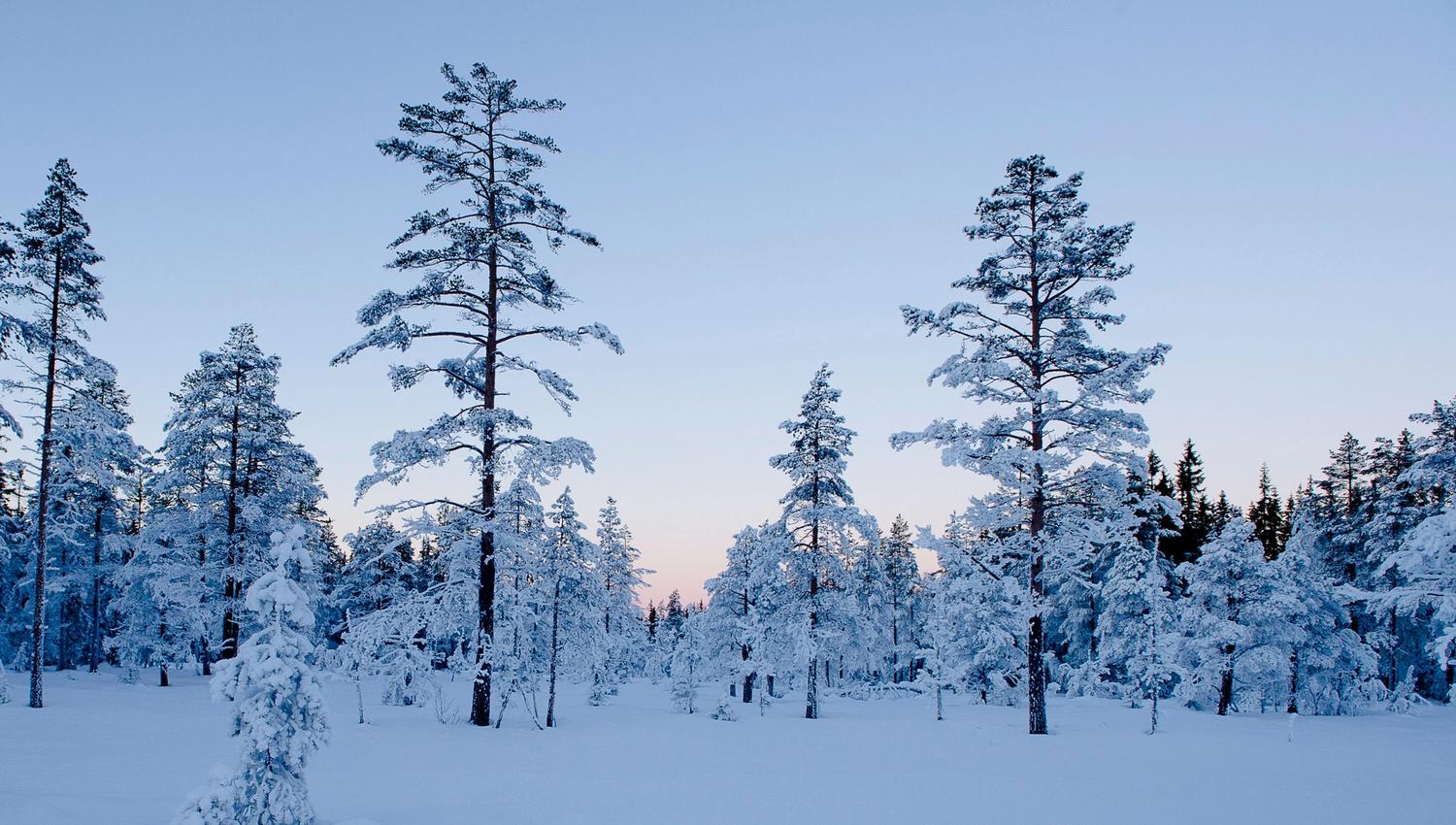 Skitur - Foto Bjørn Stuedal