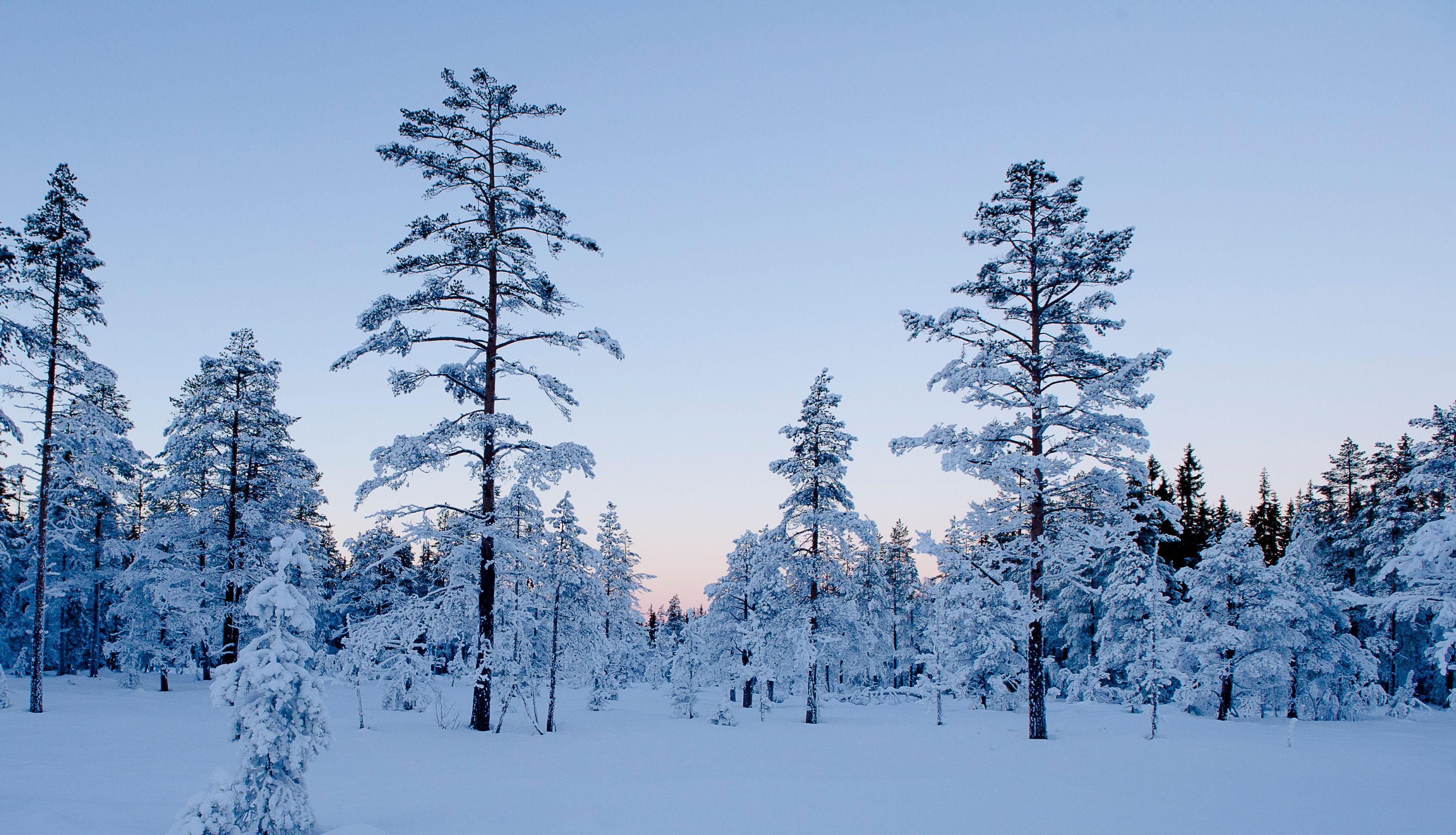 Skitur - Foto Bjørn Stuedal