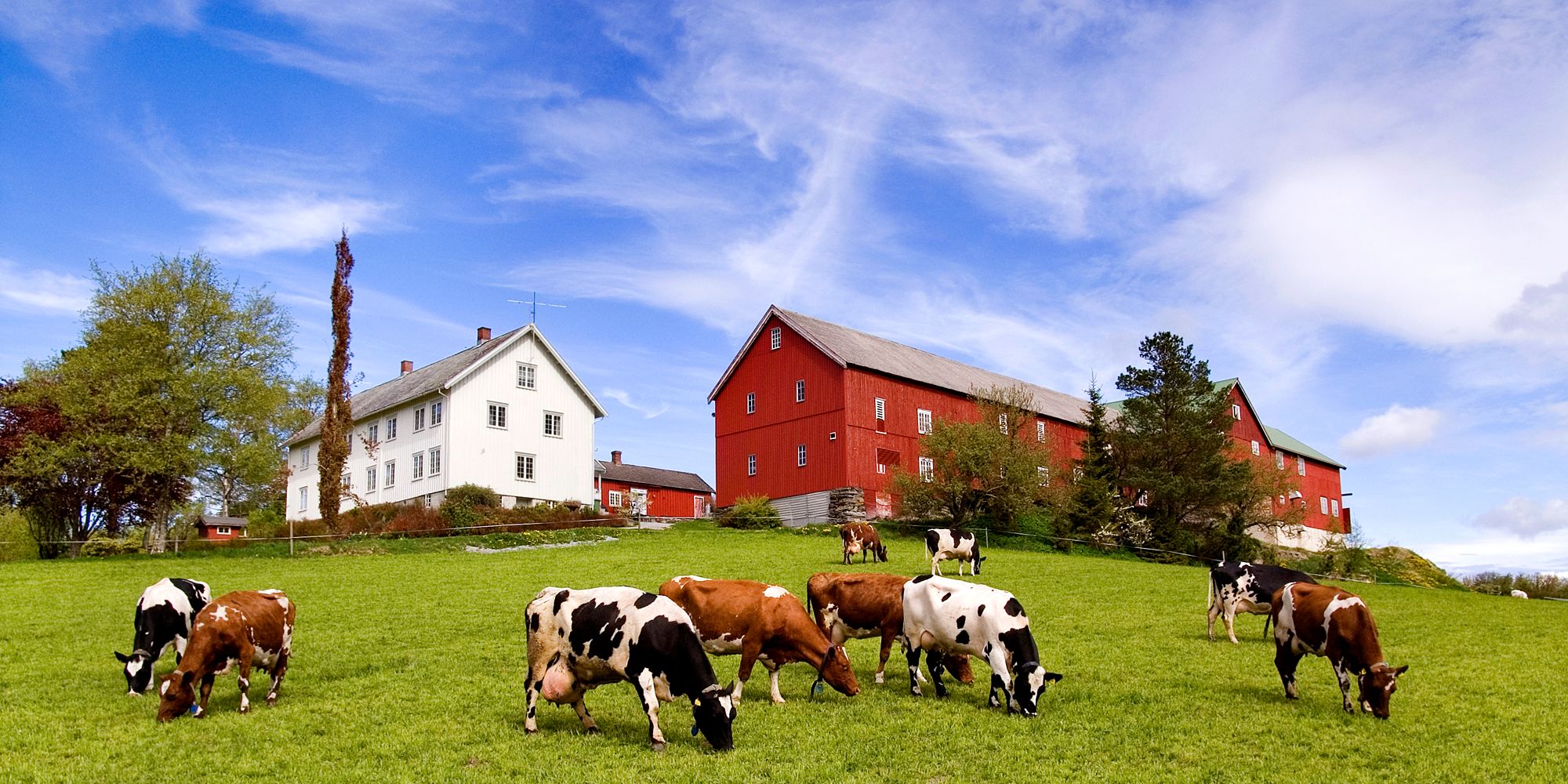 Gangstad gårdsysteri