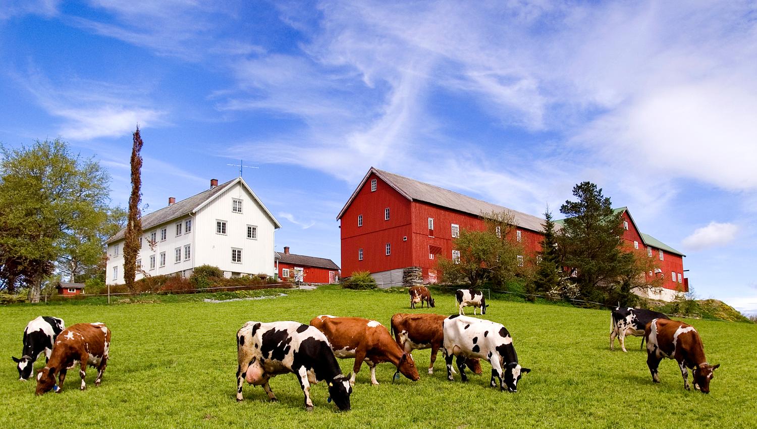Gangstad gårdsysteri