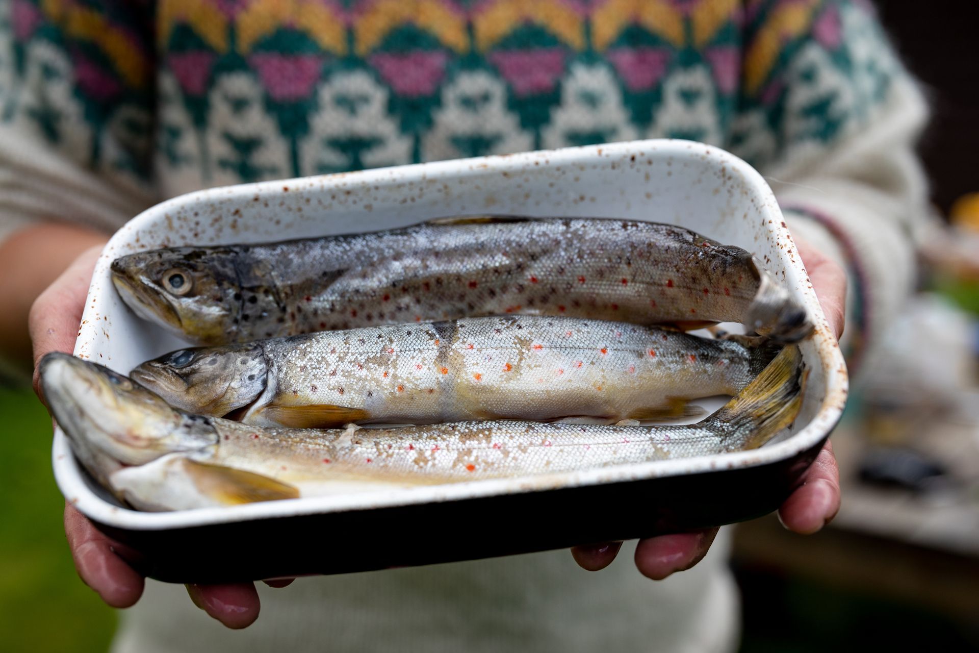 Hilde from Vinternatt is holding a trout