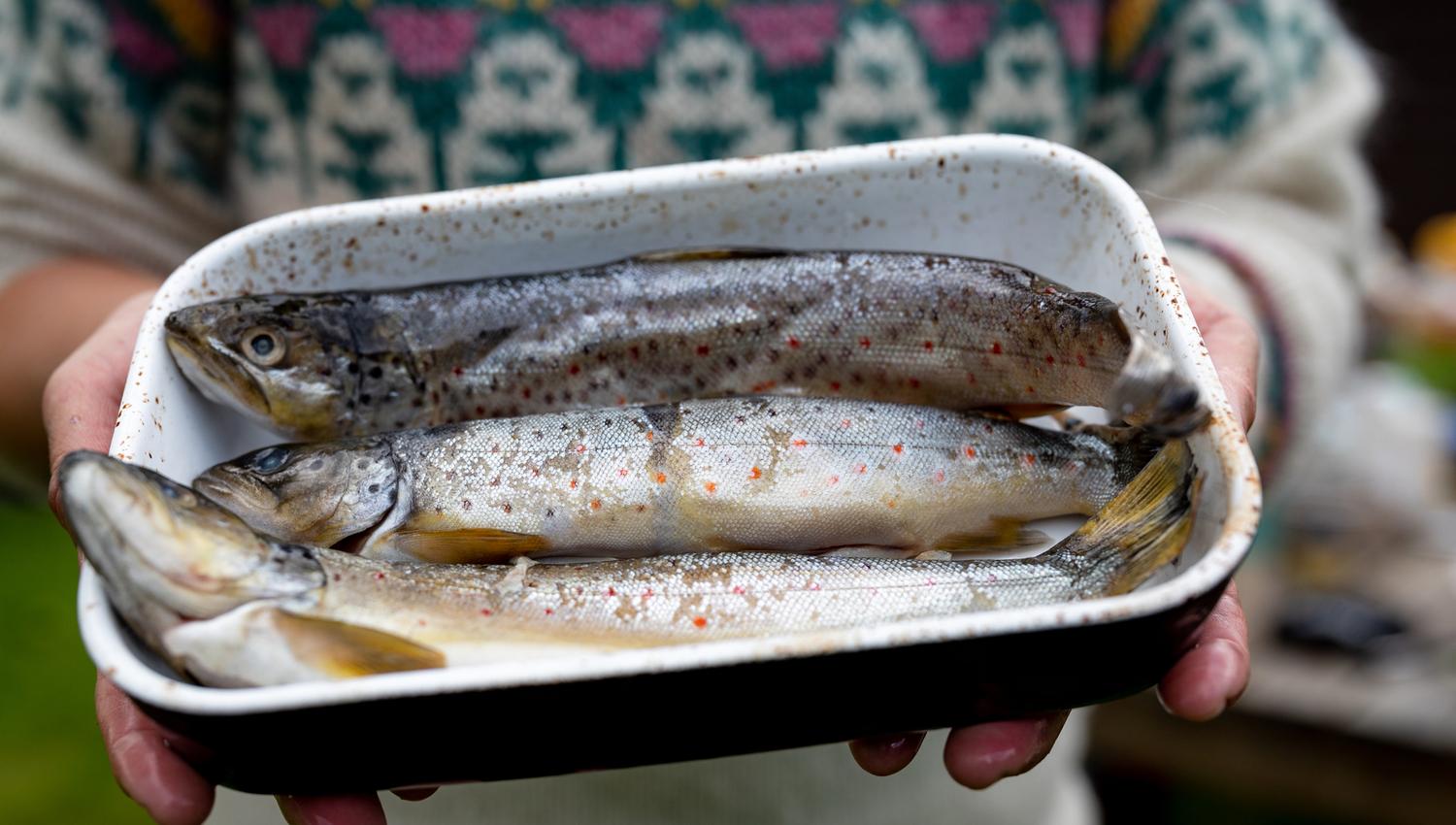 Hilde from Vinternatt is holding a trout
