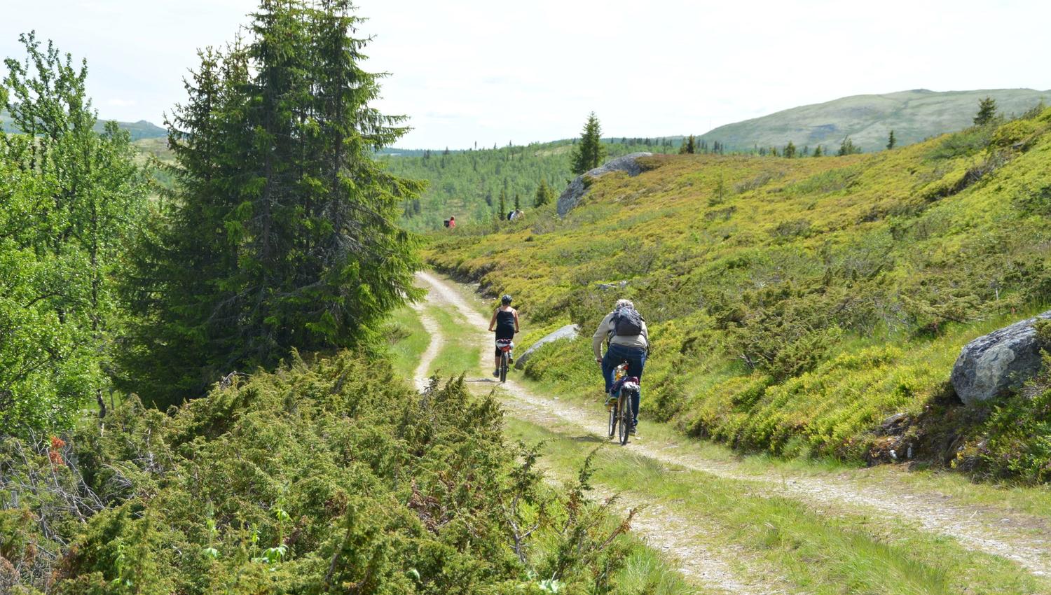 Sykling på grusveg Svartfjell Foto Julia Hamre_preview