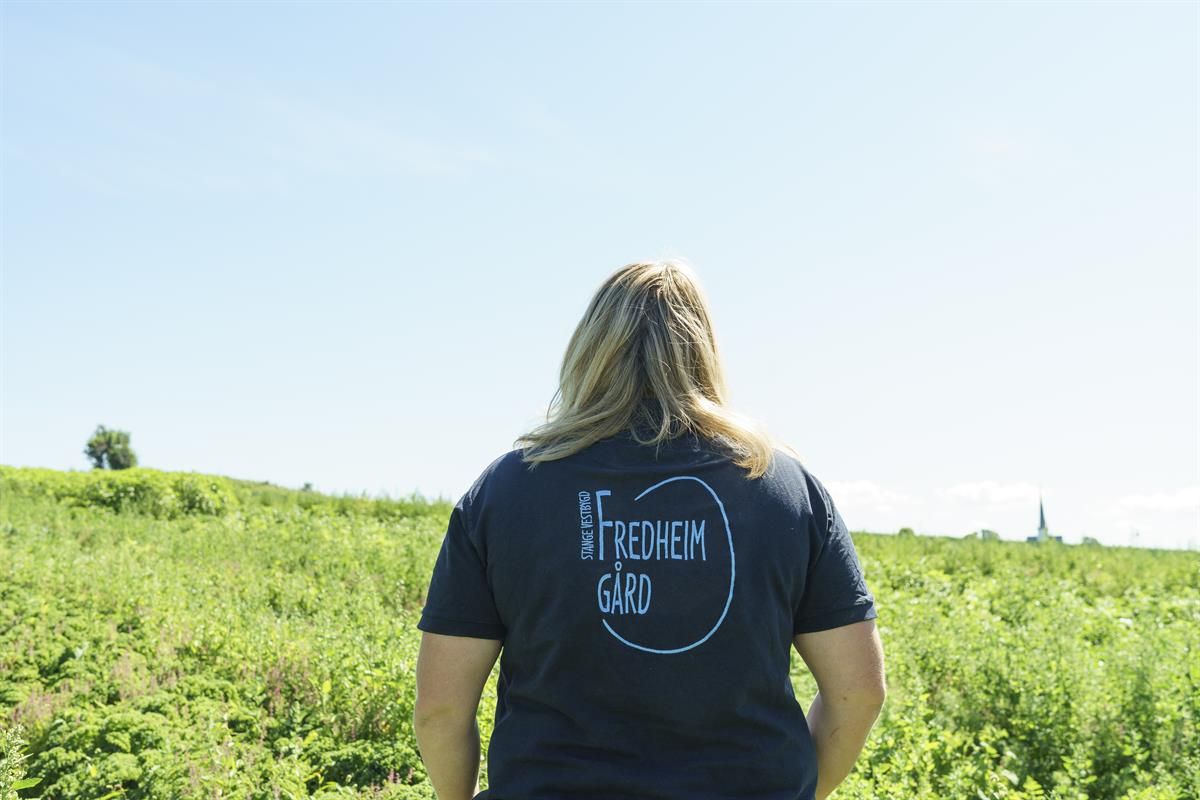 Fredheim Gårdsutsalg uteområde