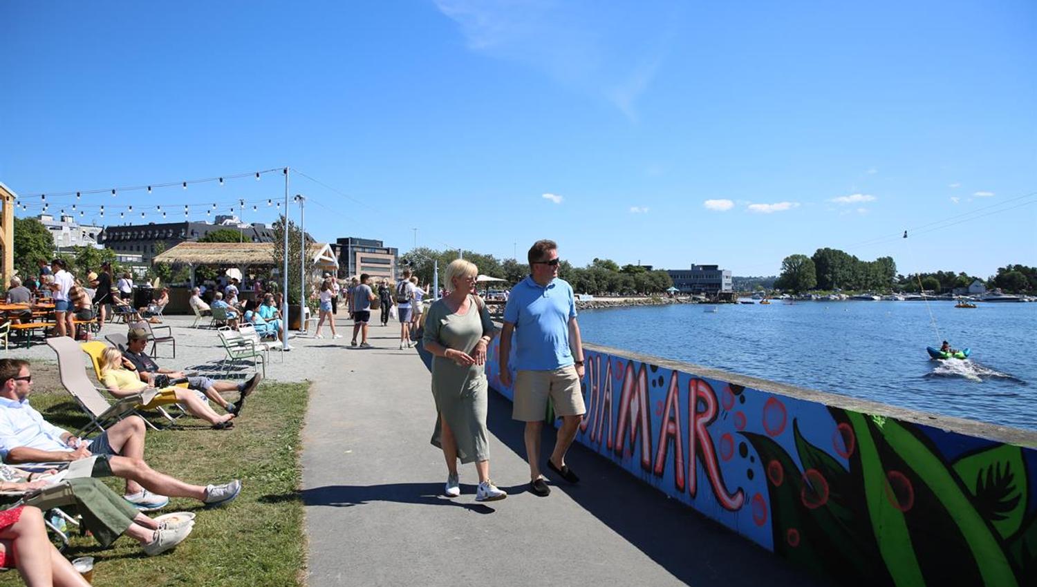 Sparere langs Mjøsfronten