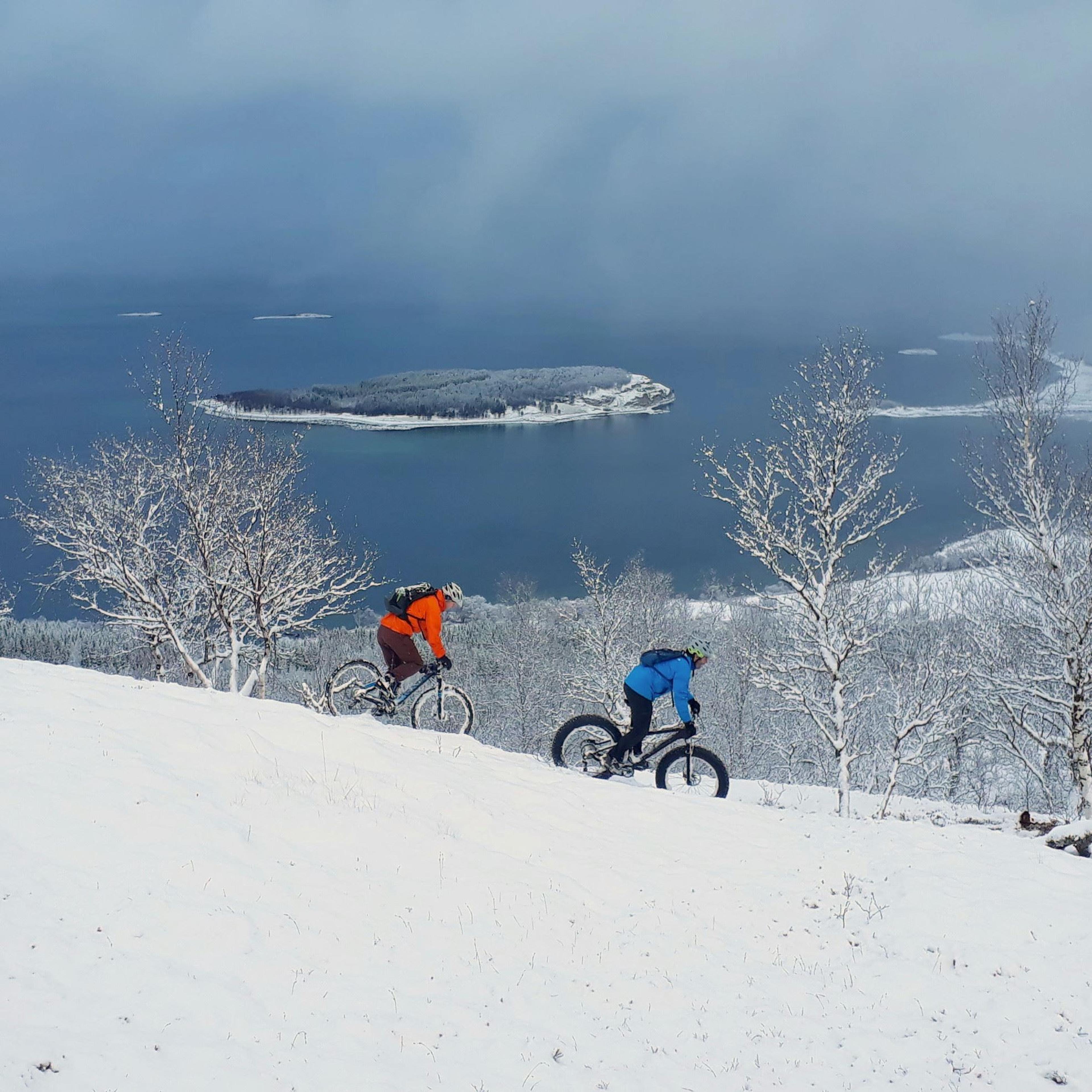 Fatbike tour in wintertime