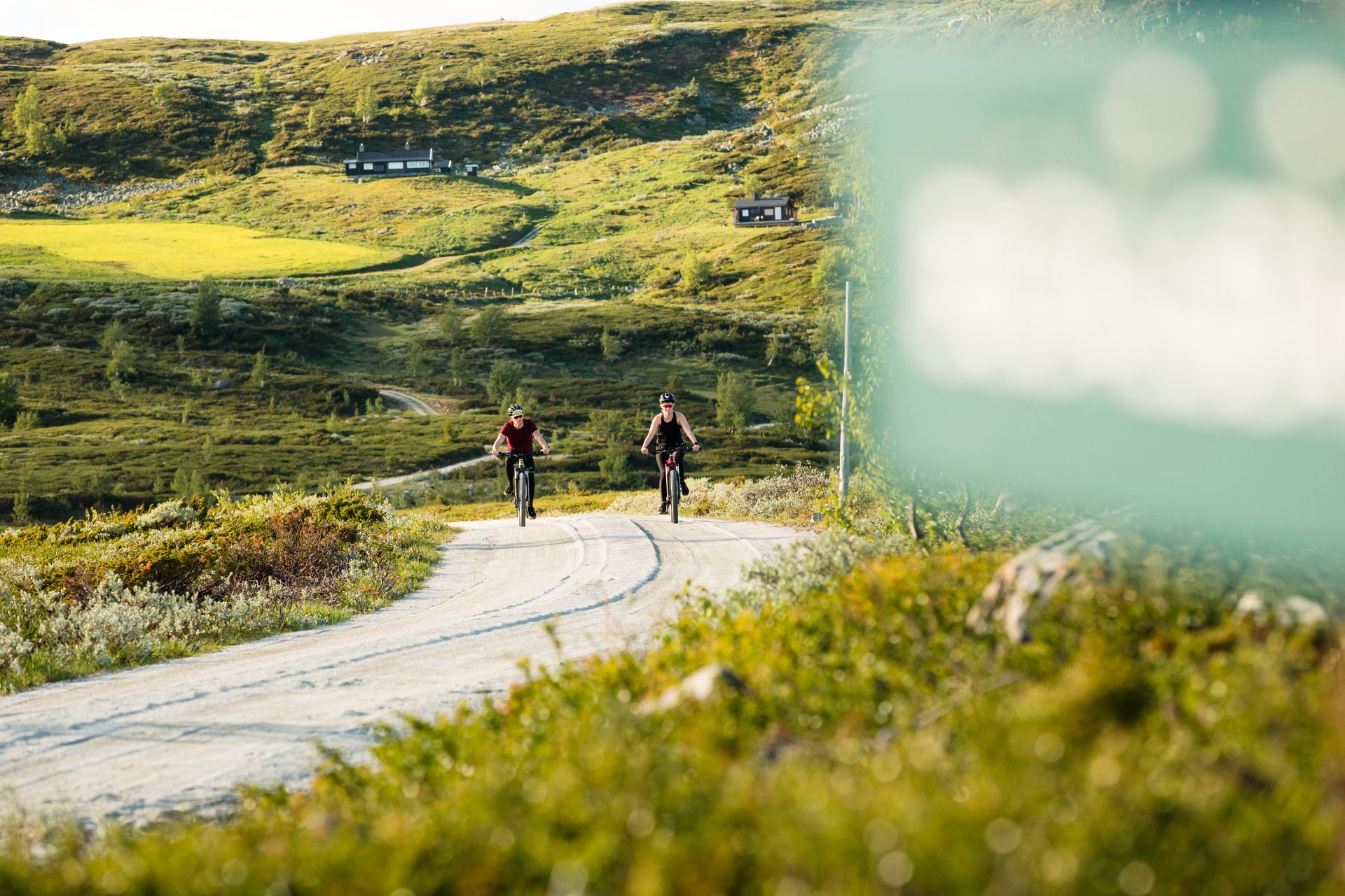 Et par sykler mot Vestreim i Budalen