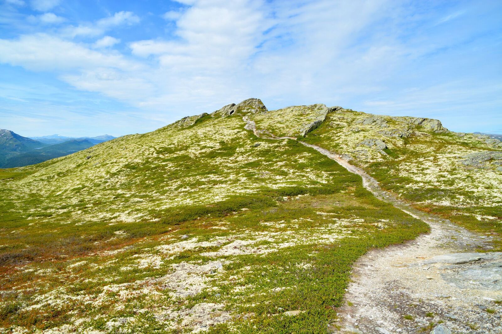 Svartfjellrunden