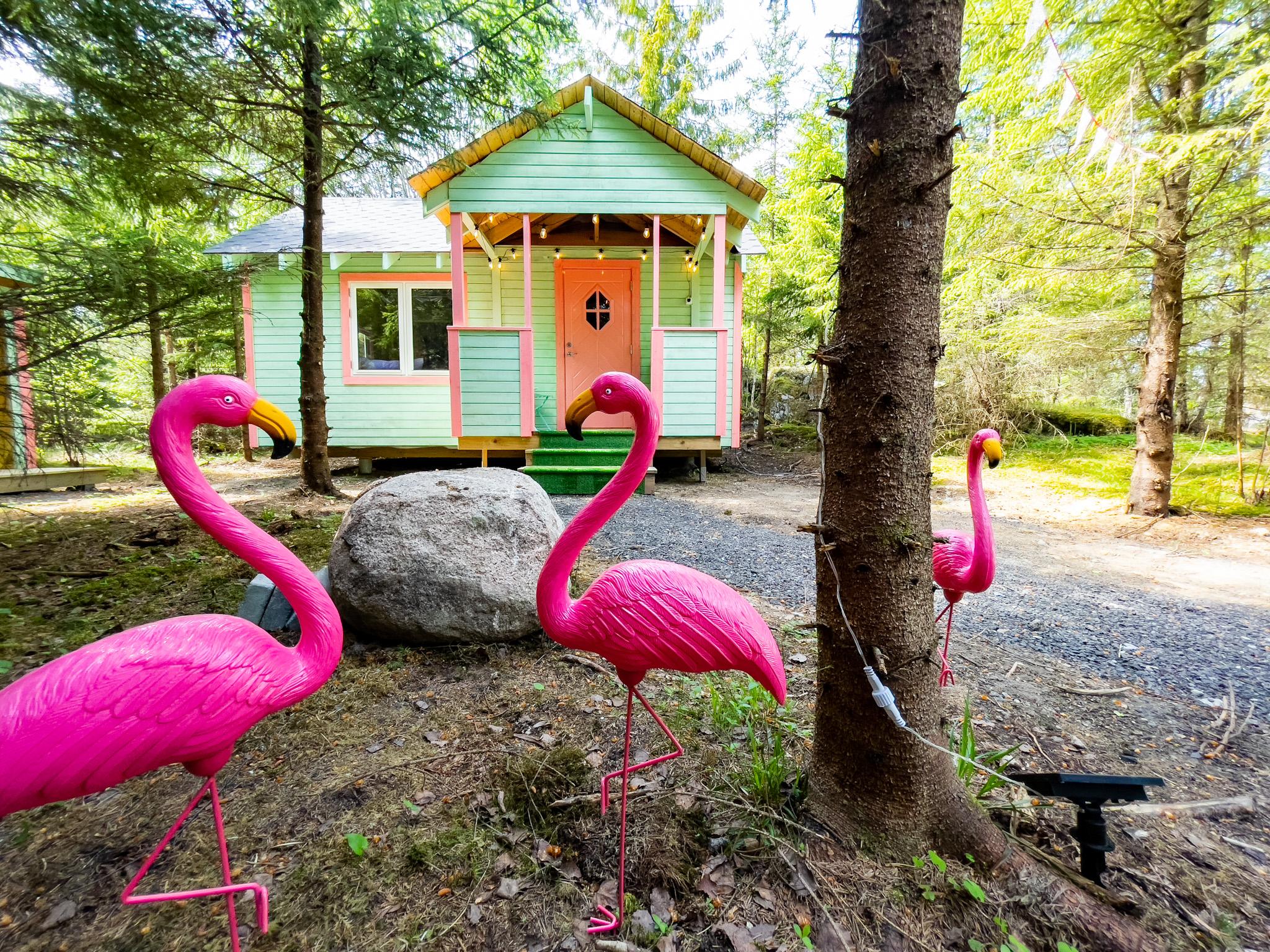 hytte til overnatting i pastellfarger med plastikk-flamingoer på utsiden