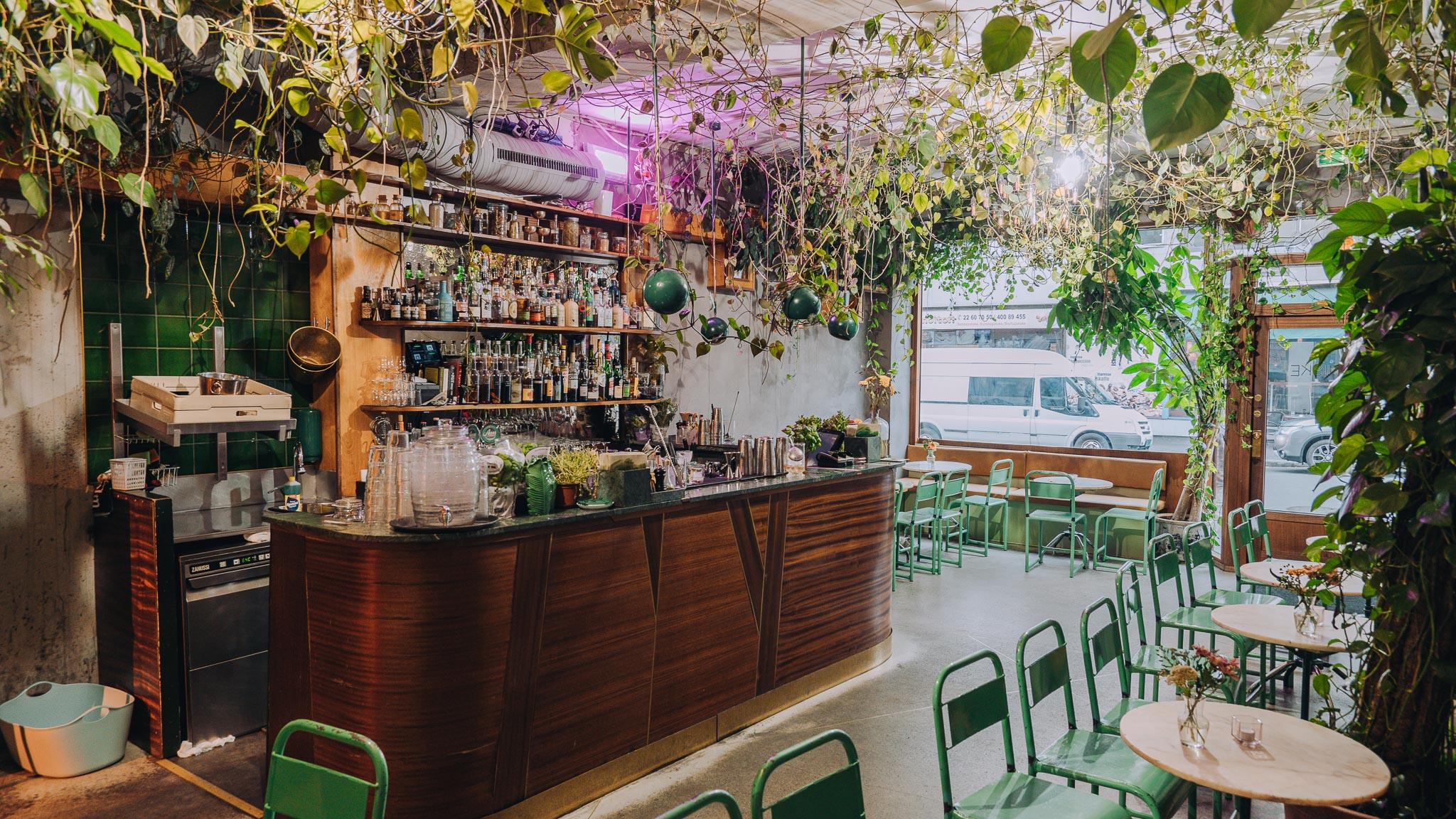 Bar counter with shelves with spirits behind it, green chairs and small round tables, plants hanging from the ceiling