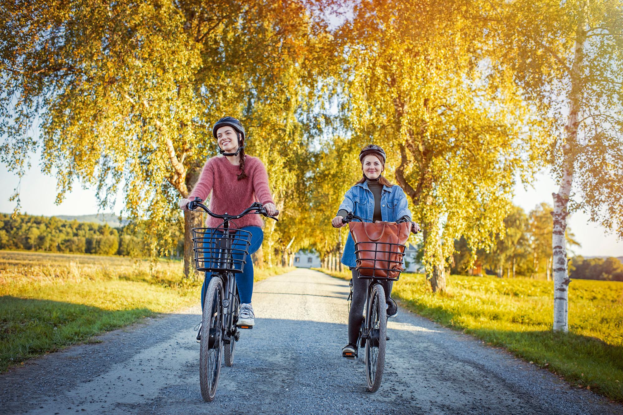 Verdal Fæby bryggeri alleen sykkel foto_marius_rua_buckethaus_trondelagreiseliv_sep2020_RUA9219_WEB