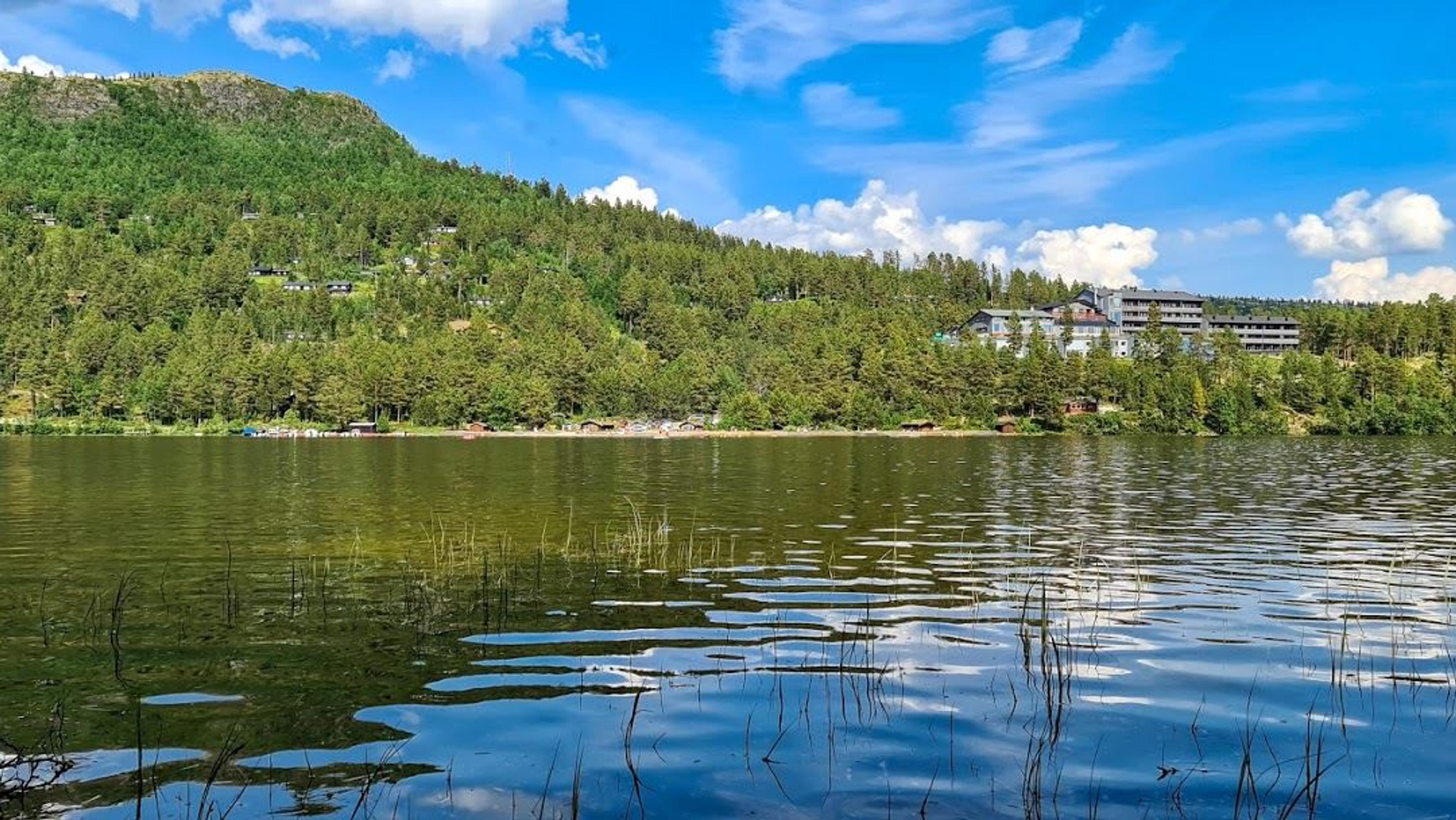 Overnatting Savalen Fjellhotell