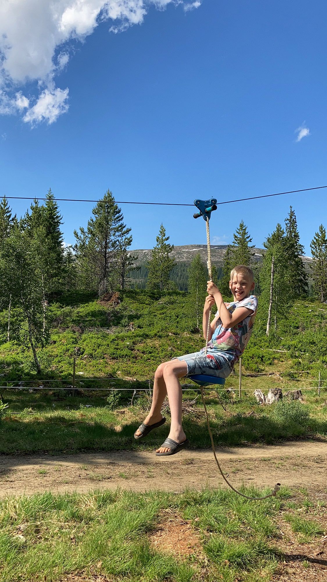 Artig med Zipline