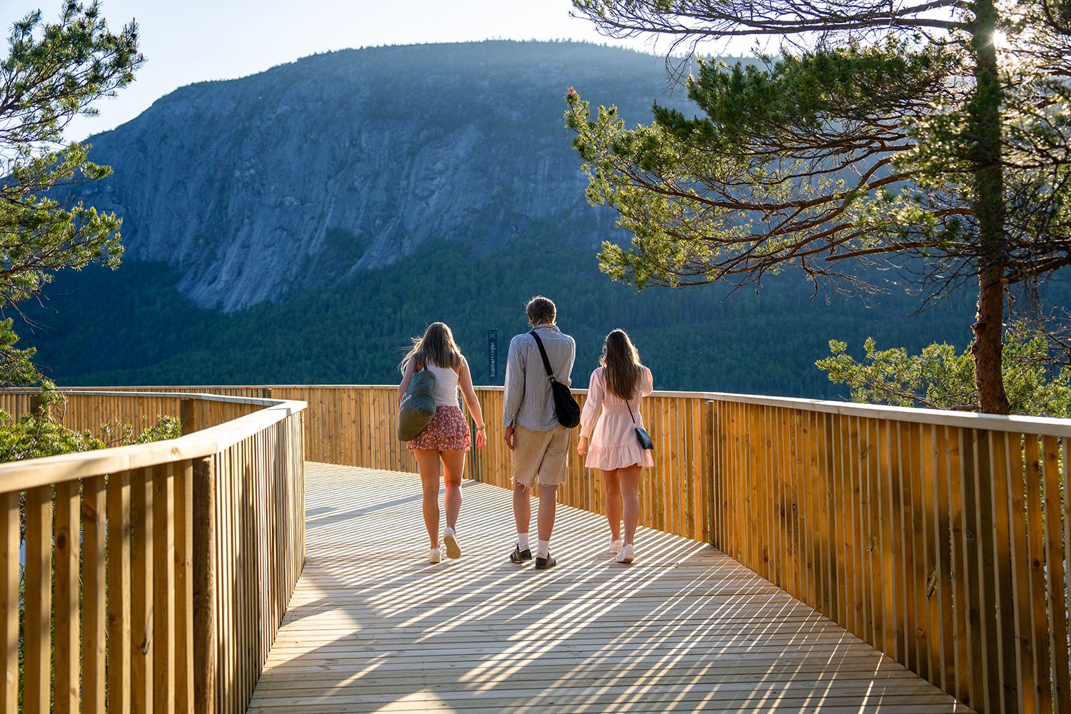 Friends hiking on the treetop trail.